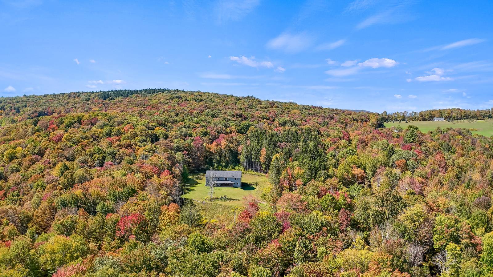 #94 photo, 1724 Calhoun Hill Rd,, Andes , NY 13731