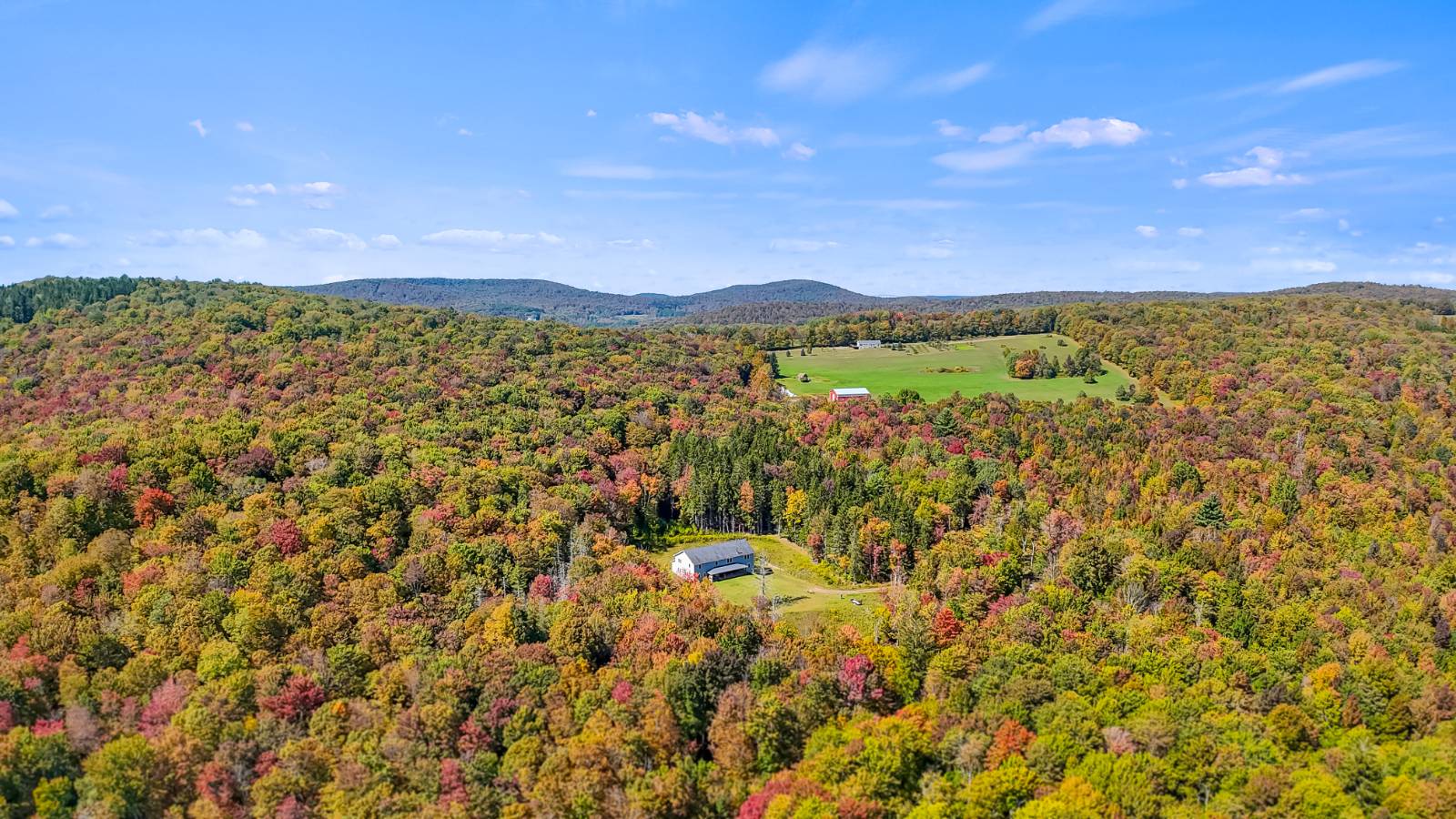 #95 photo, 1724 Calhoun Hill Rd,, Andes , NY 13731