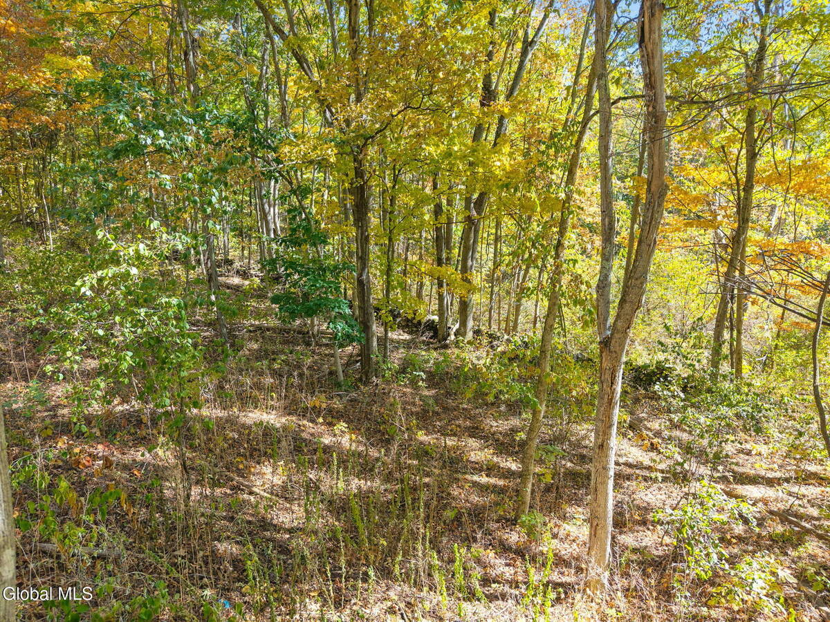 #38 photo, 309 Carrera Lane, Granville , NY 12832