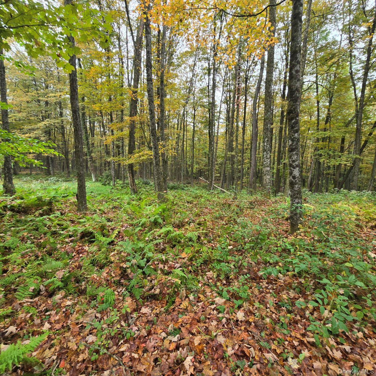 #9 photo, 80 Swiss Hill Road, Jeffersonville , NY 12748