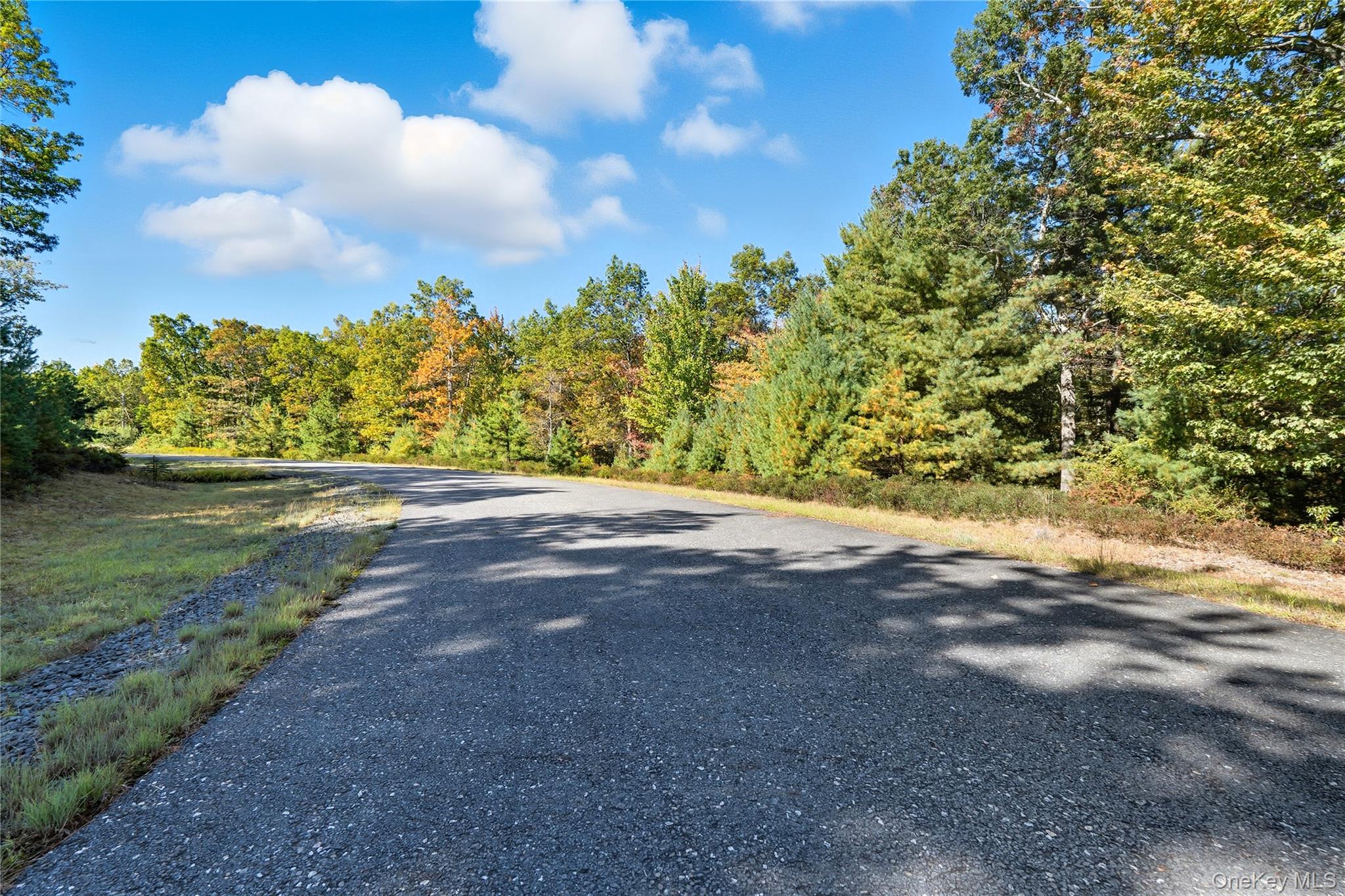 #12 photo, Big Rock Drive, Wurtsboro , NY 12790