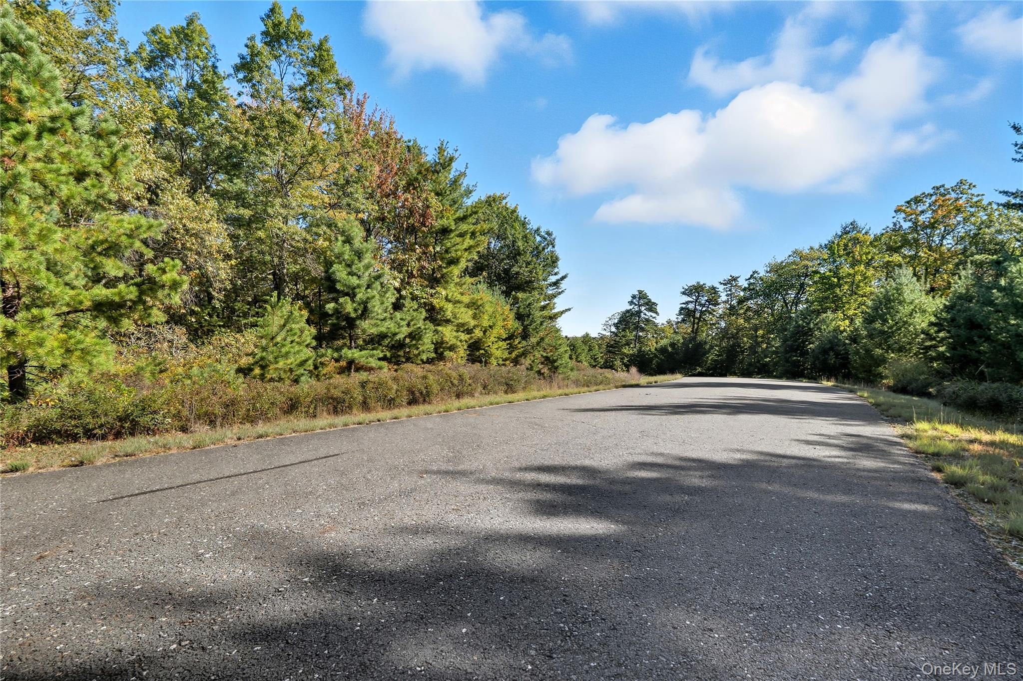 #13 photo, Big Rock Drive, Wurtsboro , NY 12790