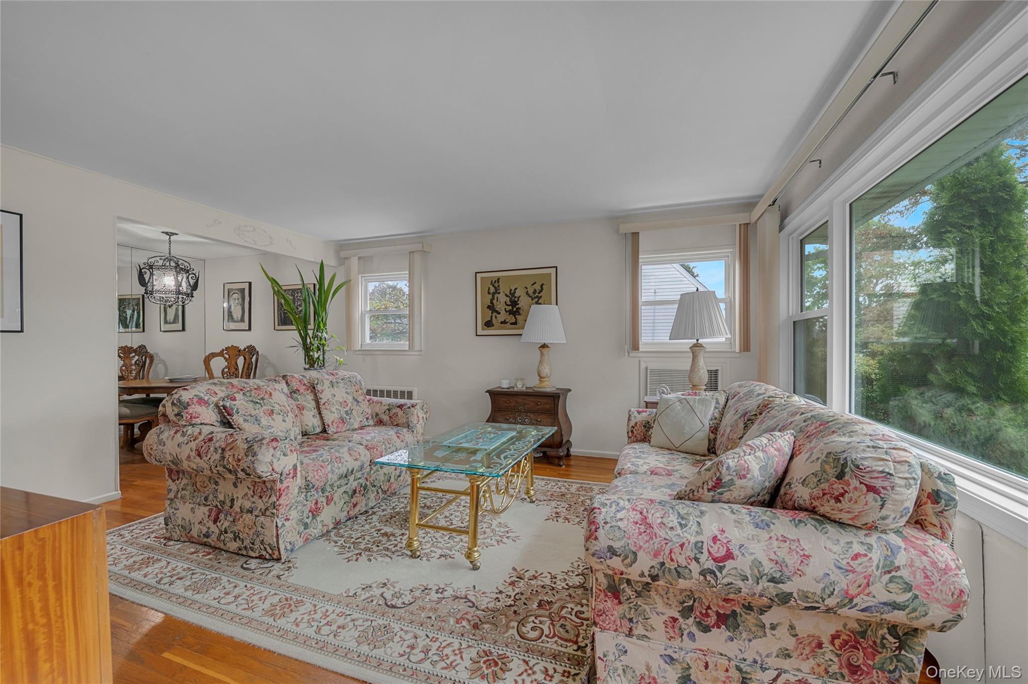 #4 photo, 25 Campbell Street, New Hyde Park , NY 11040