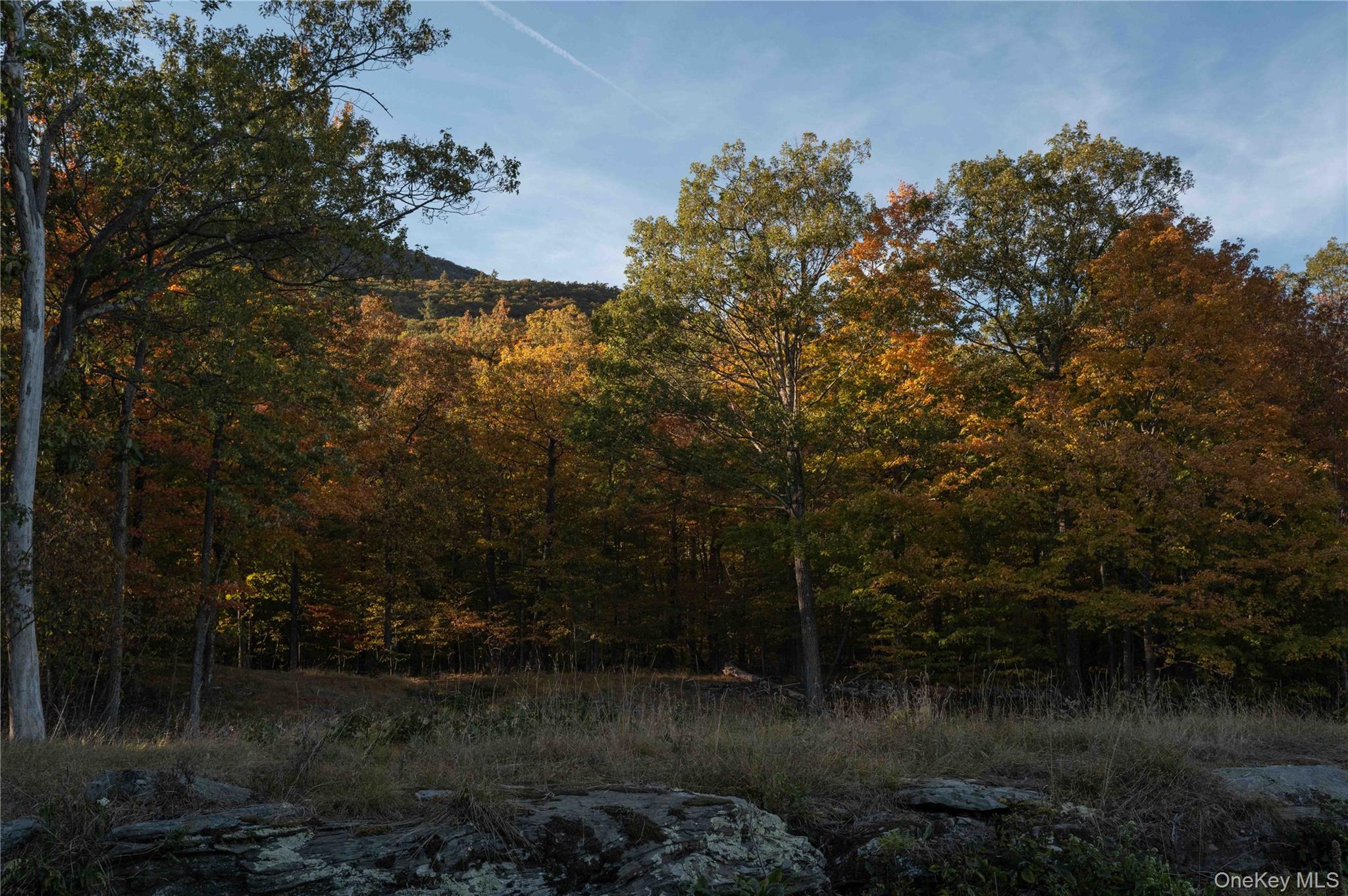 #15 photo, 326 Raycliffe Drive, Woodstock , NY 12498