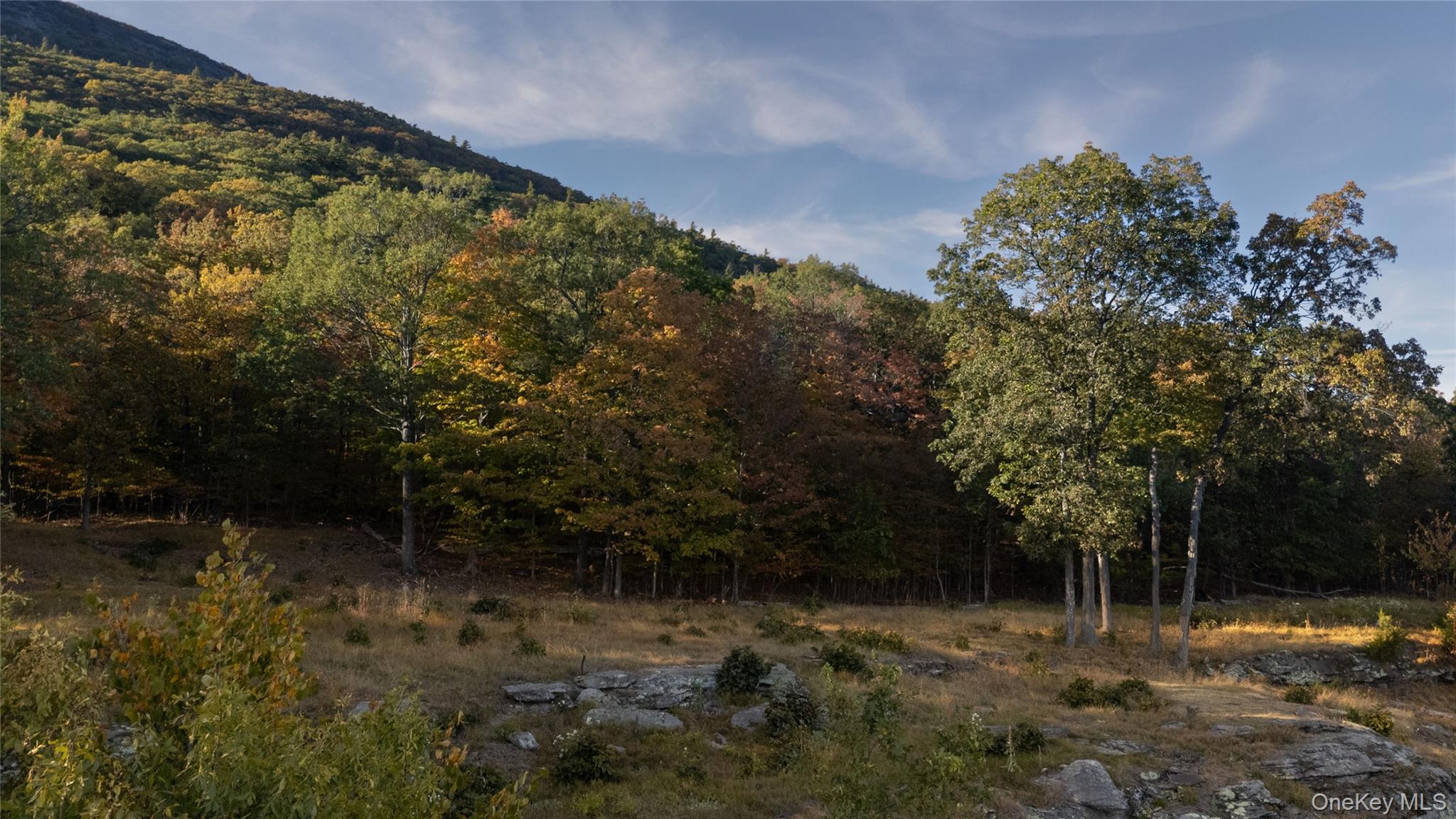 #16 photo, 326 Raycliffe Drive, Woodstock , NY 12498