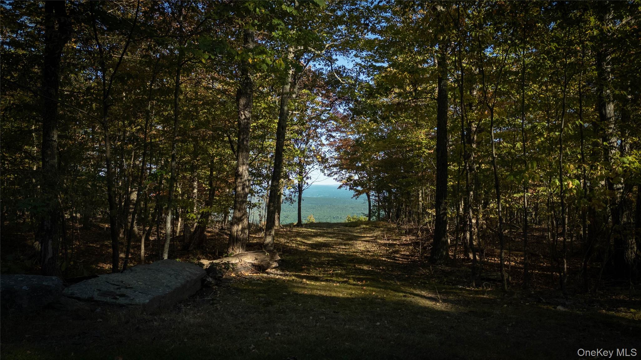 #20 photo, 326 Raycliffe Drive, Woodstock , NY 12498