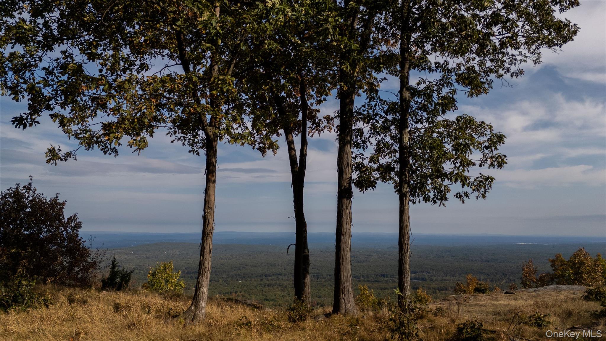 #4 photo, 326 Raycliffe Drive, Woodstock , NY 12498