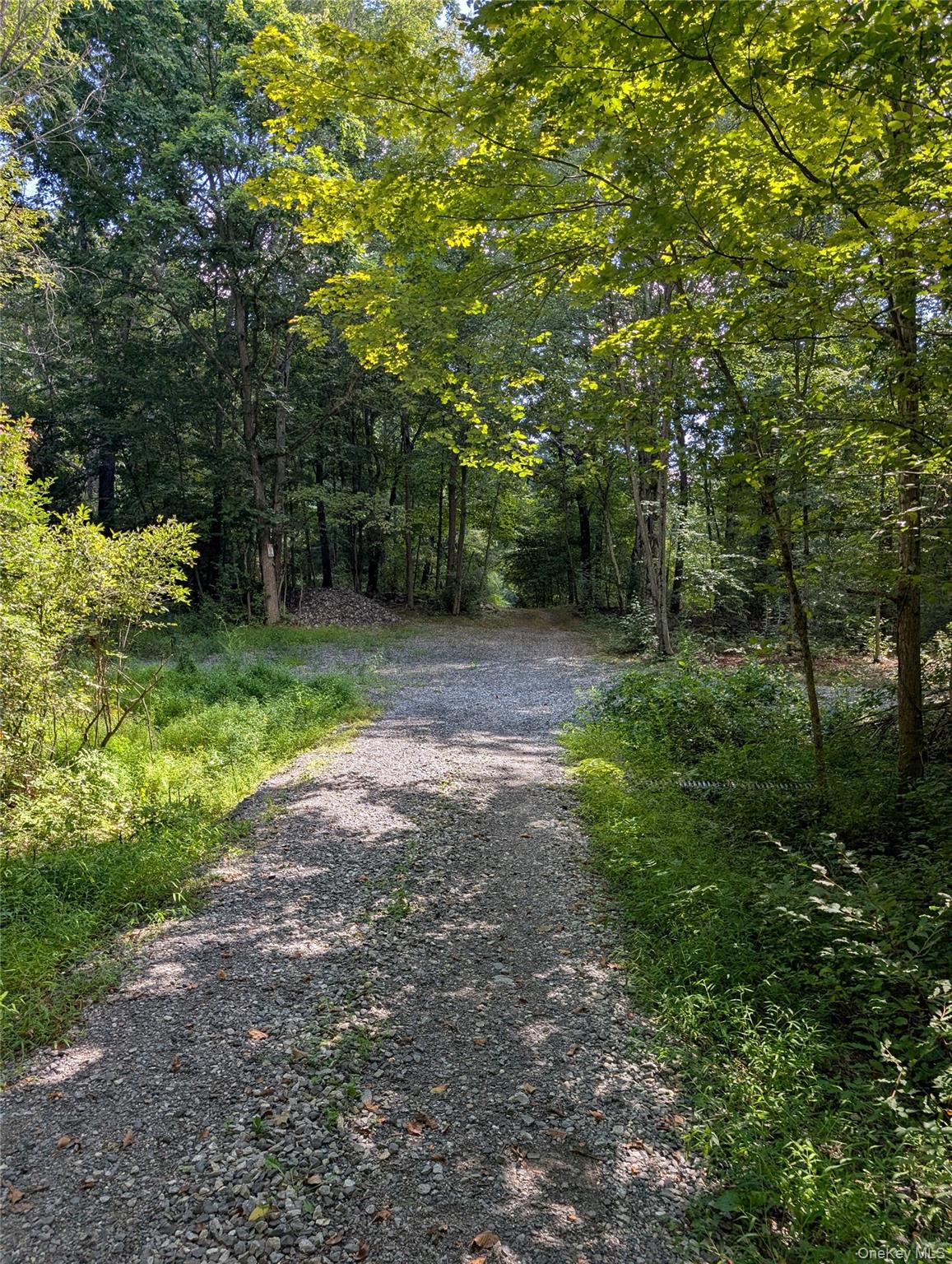 #2 photo, 66, 333, CR-27, Copake , NY 12516