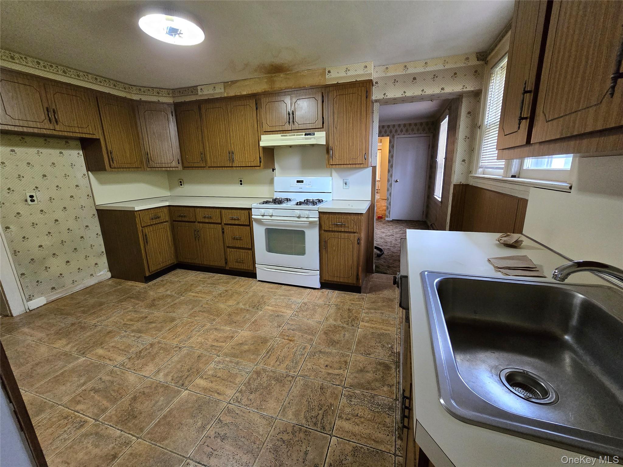 #11 photo, 229 Rushmore Avenue, नासाउ काउंटी Carle Place , NY 11514