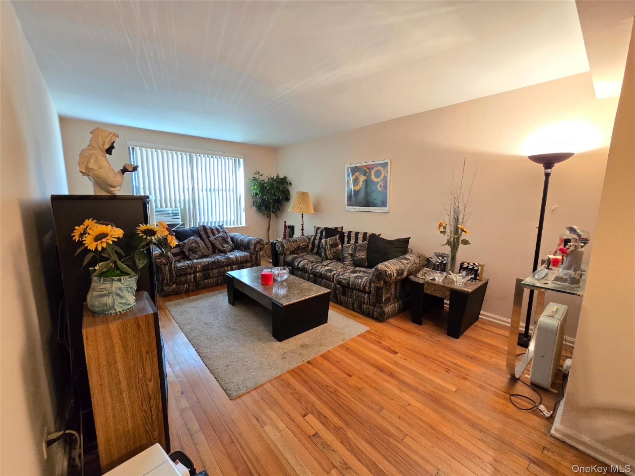 #3 photo, 229 Rushmore Avenue, नासाउ काउंटी Carle Place , NY 11514