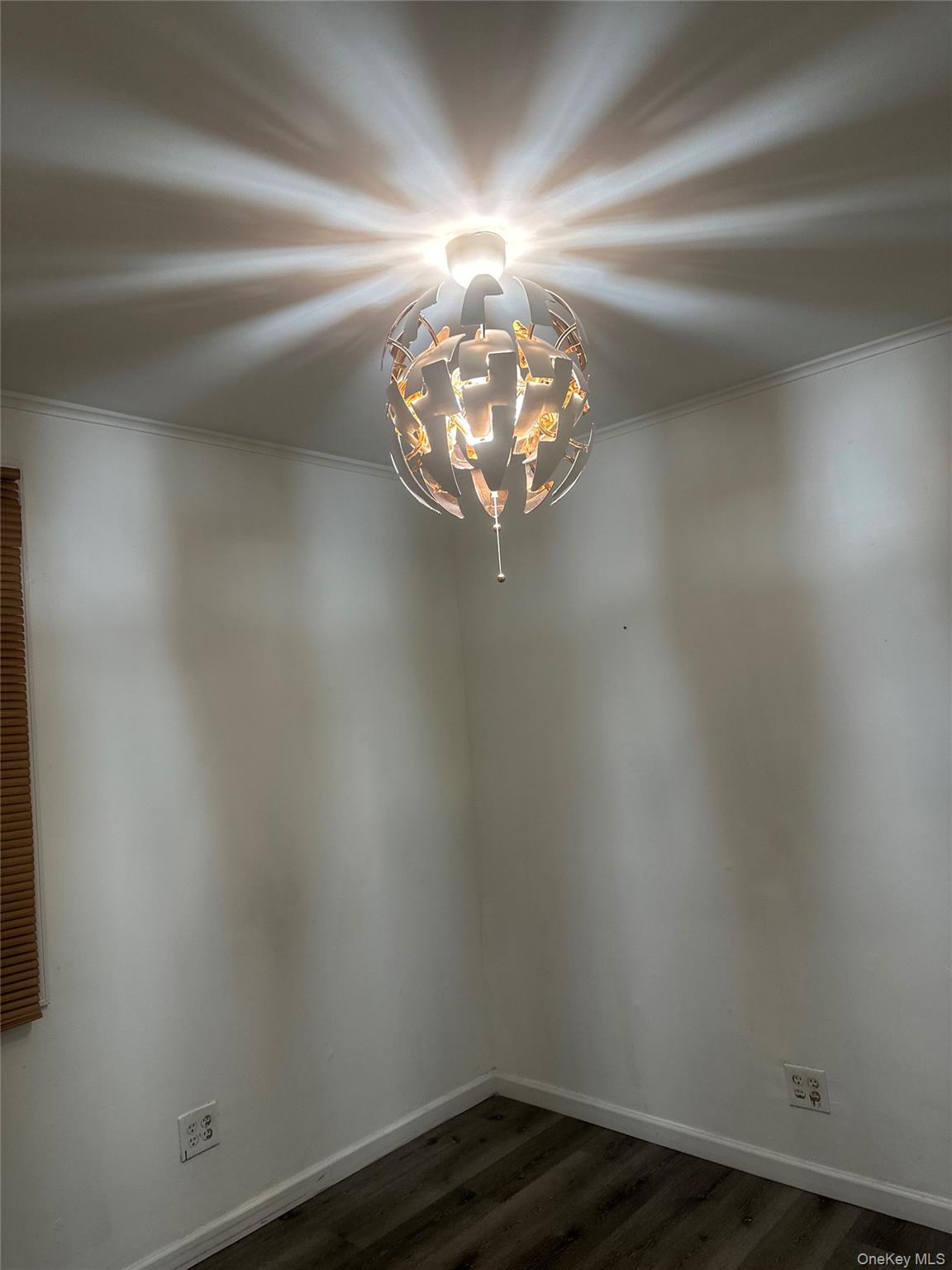 #5 photo, 89-50 87 Street, Woodhaven , NY 11421