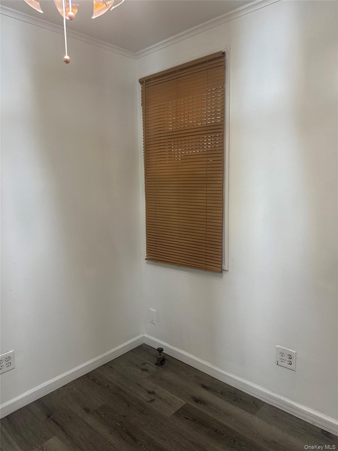 #6 photo, 89-50 87 Street, Woodhaven , NY 11421