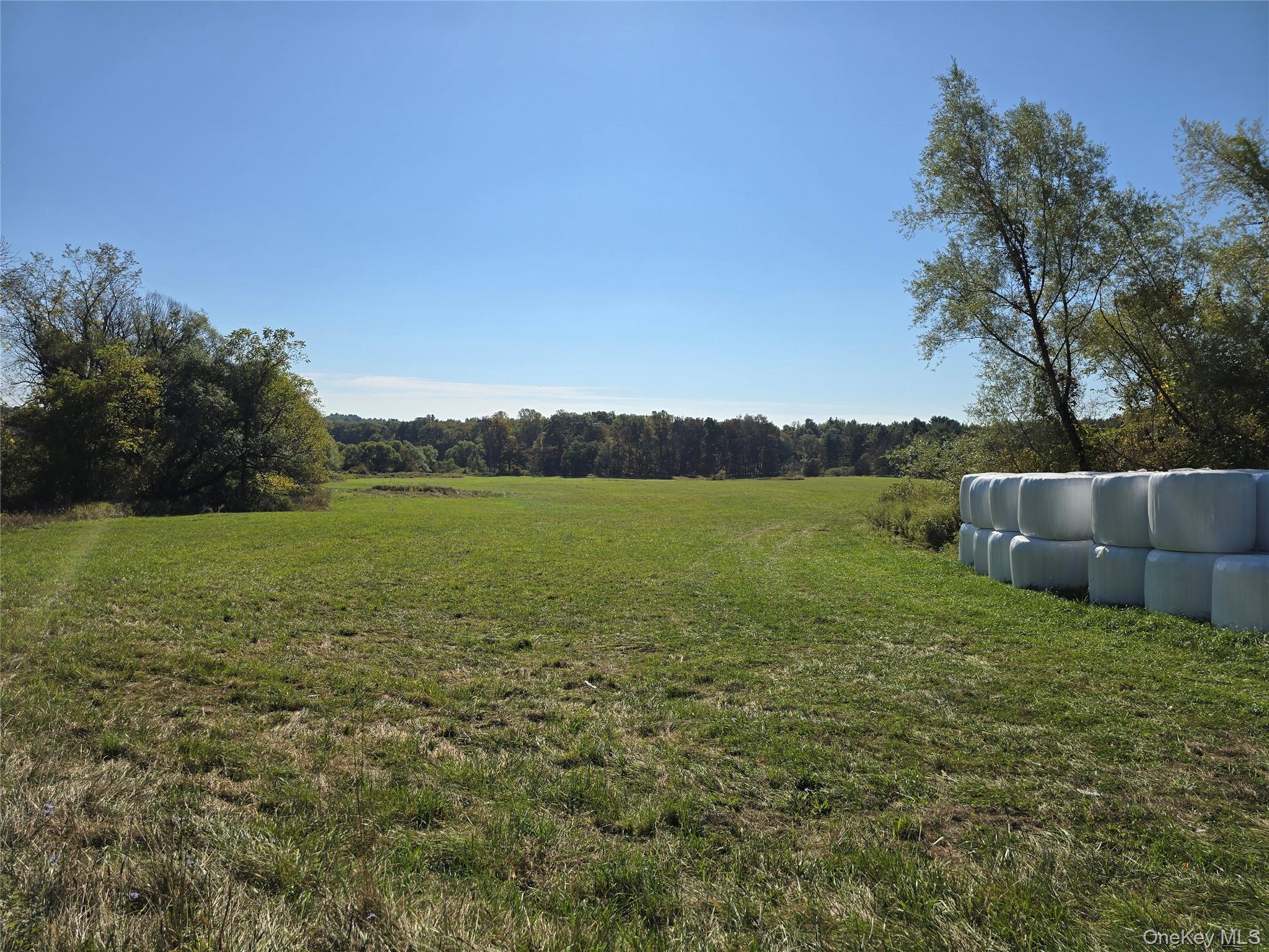 #11 photo, 171 Winterton Road, Bloomingburg , NY 12721