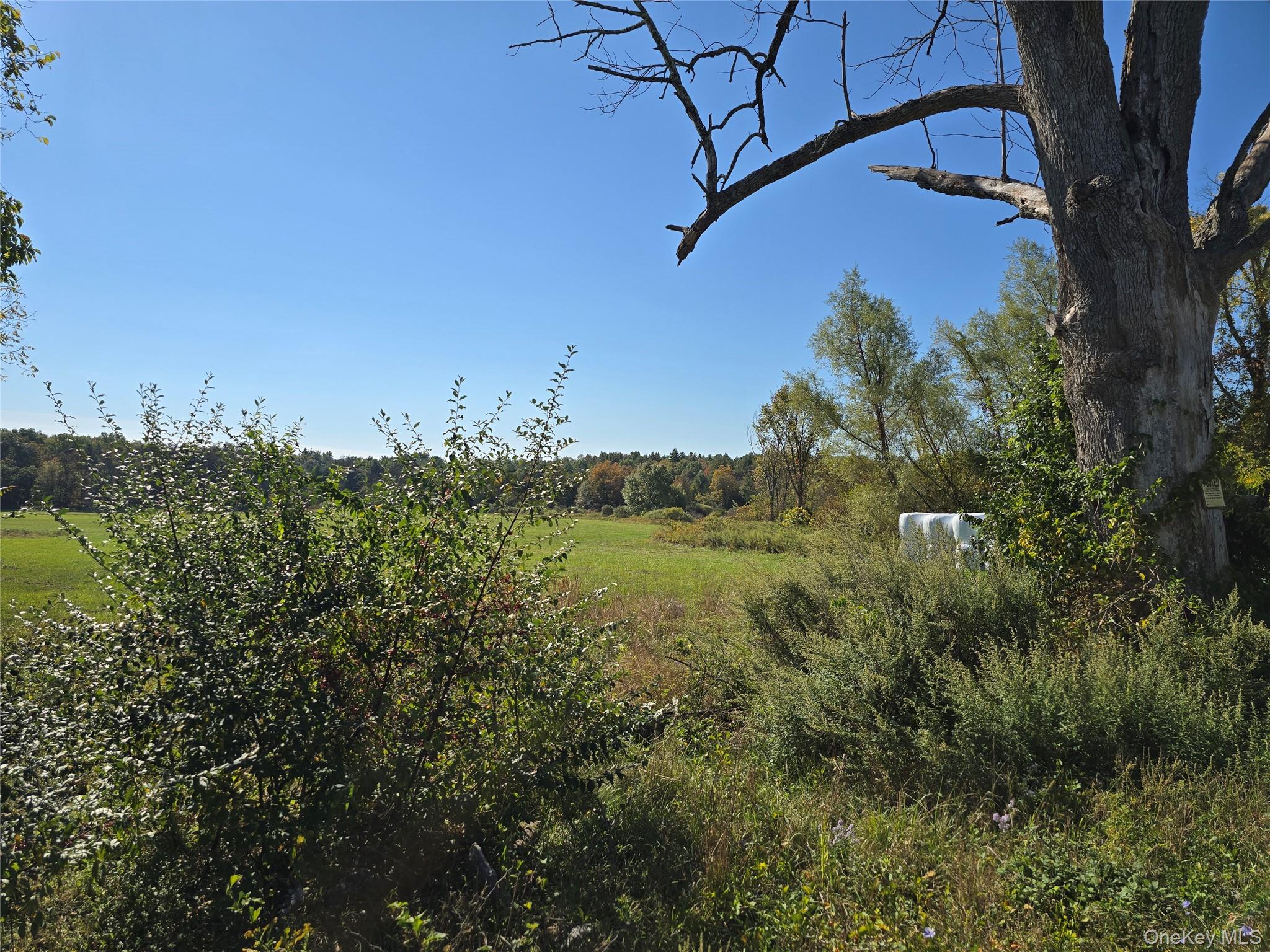 #12 photo, 171 Winterton Road, Bloomingburg , NY 12721