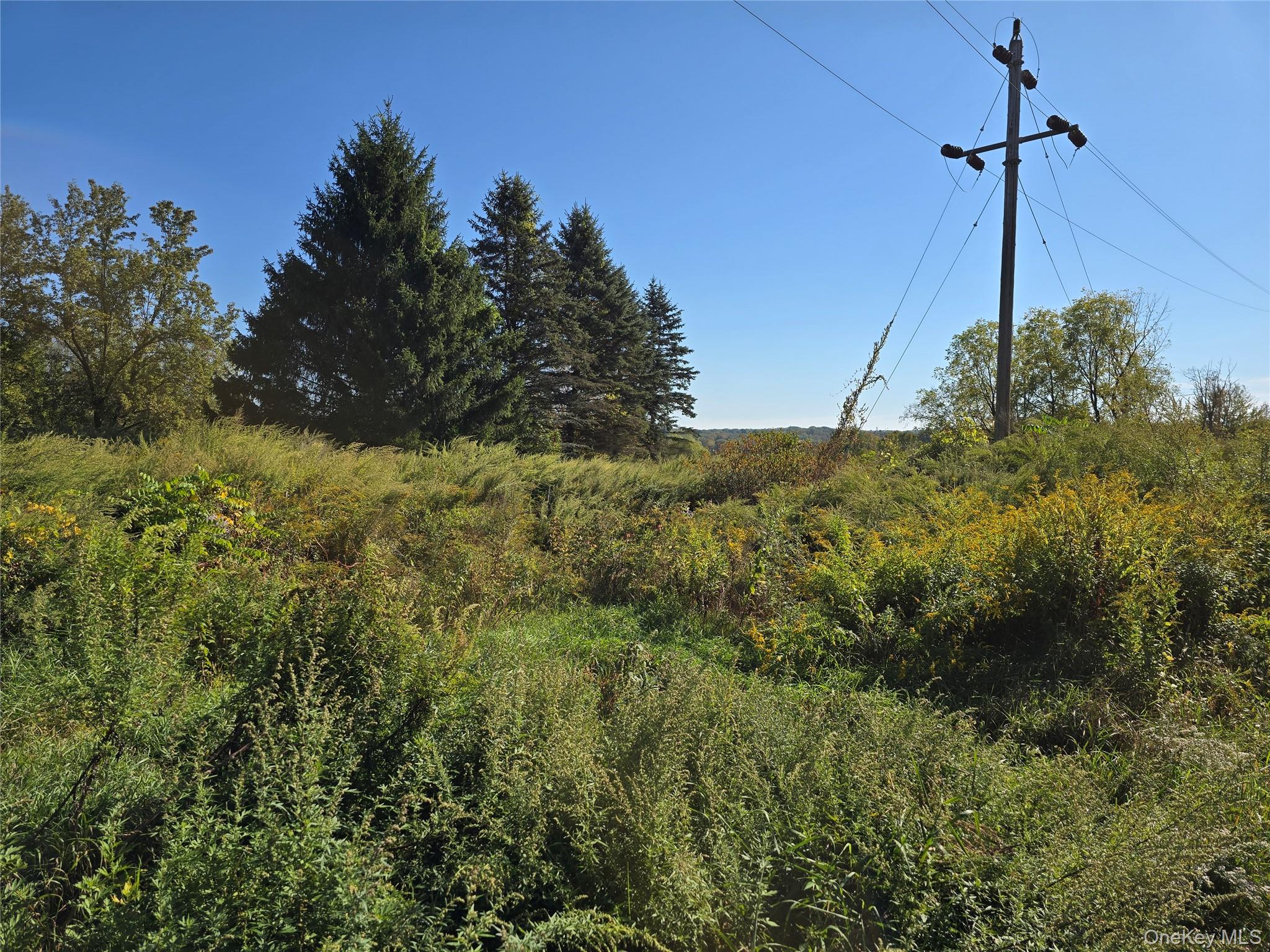 #9 photo, 171 Winterton Road, Bloomingburg , NY 12721