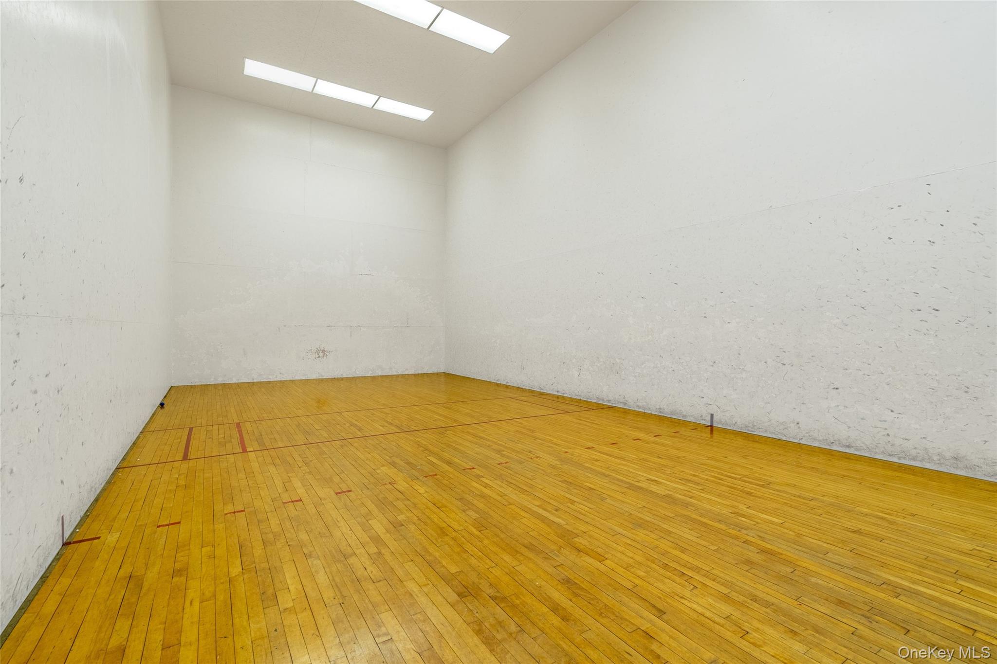 #19 photo, 180 Pearsall Drive, 纽约州 Mount Vernon , NY 10552