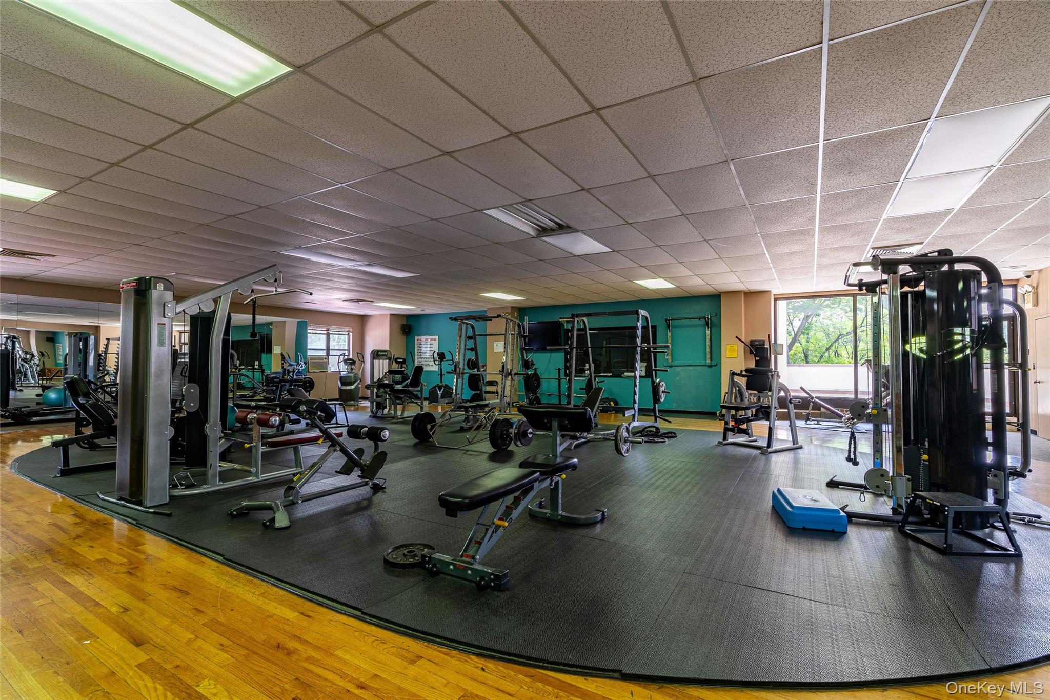 #20 photo, 180 Pearsall Drive, 纽约州 Mount Vernon , NY 10552