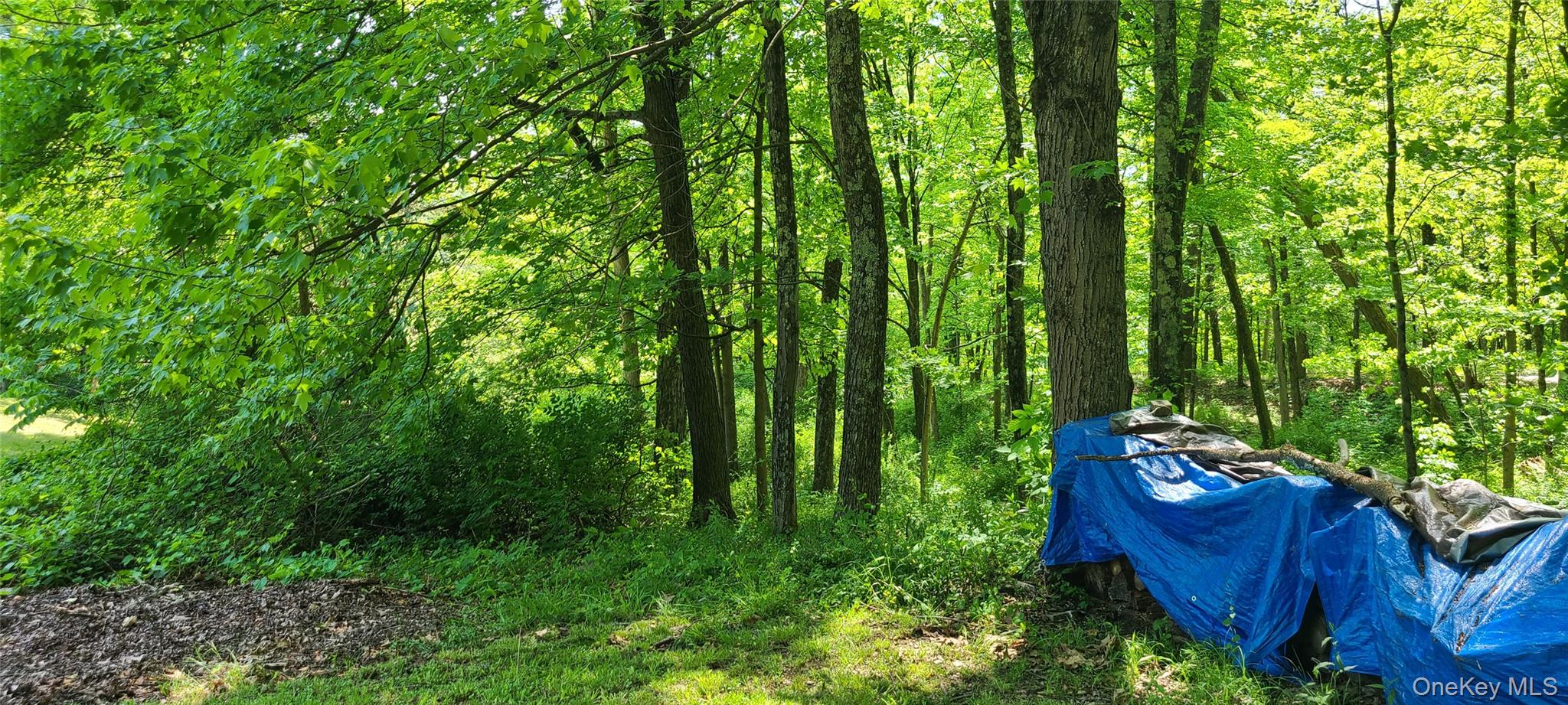 #6 photo, 71-79 Dashville Road, New Paltz , NY 12561