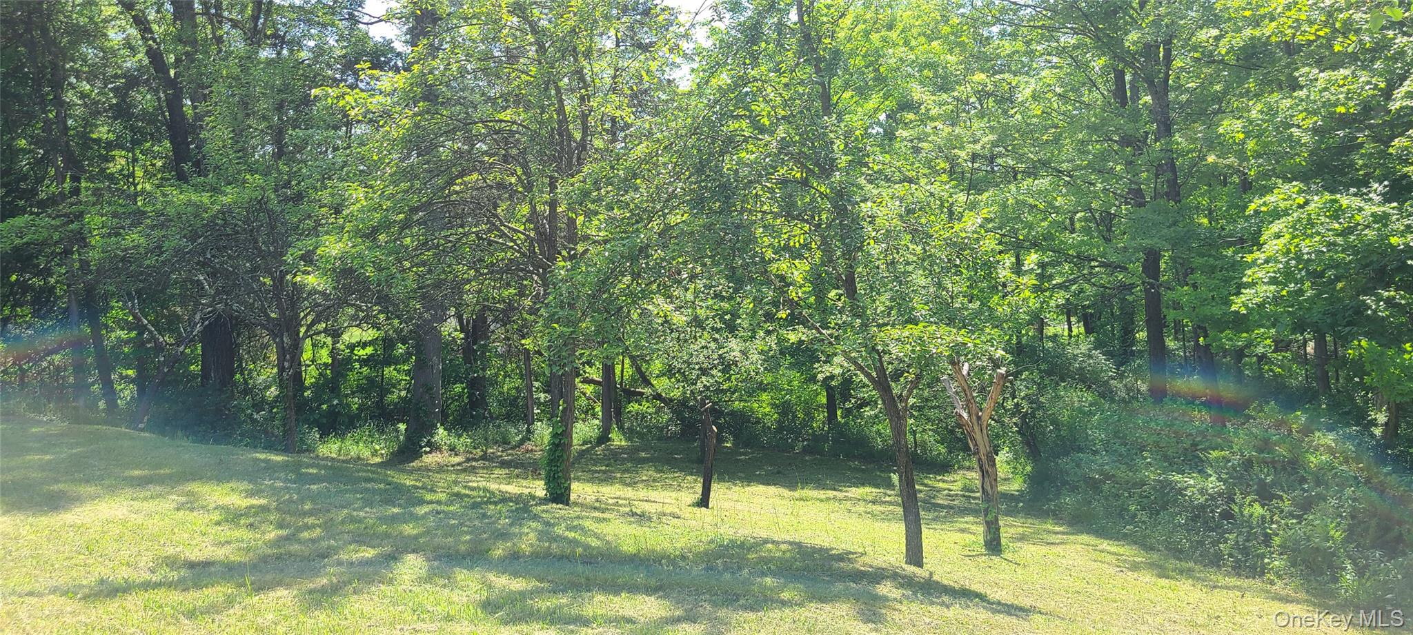 #8 photo, 71-79 Dashville Road, New Paltz , NY 12561