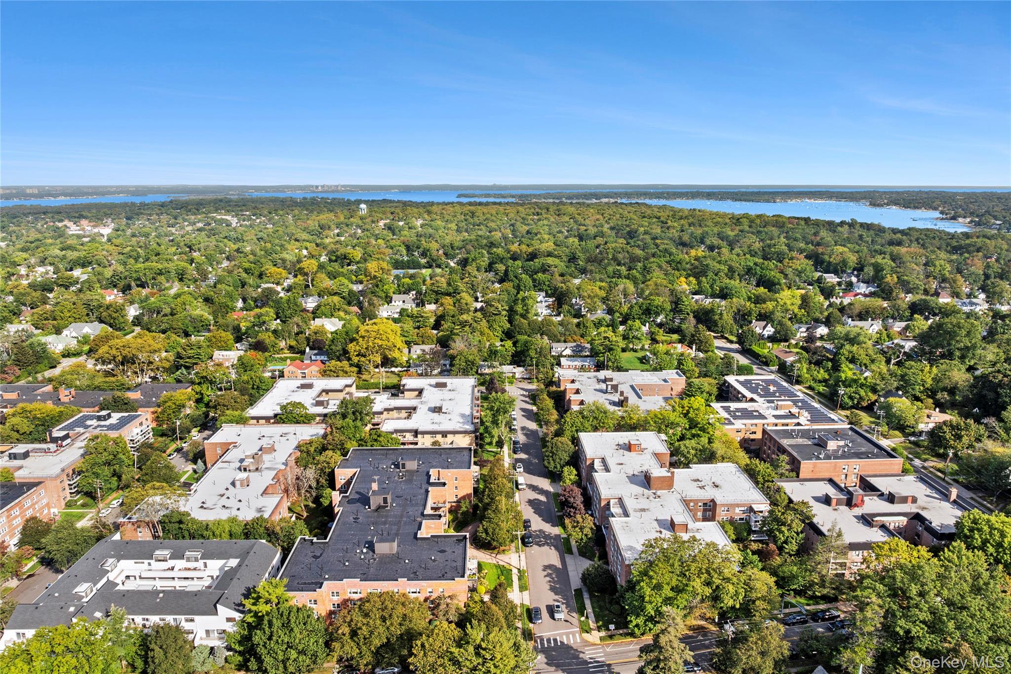 #16 photo, 21 Chapel Place, 长岛 大颈 Great Neck , NY 11021