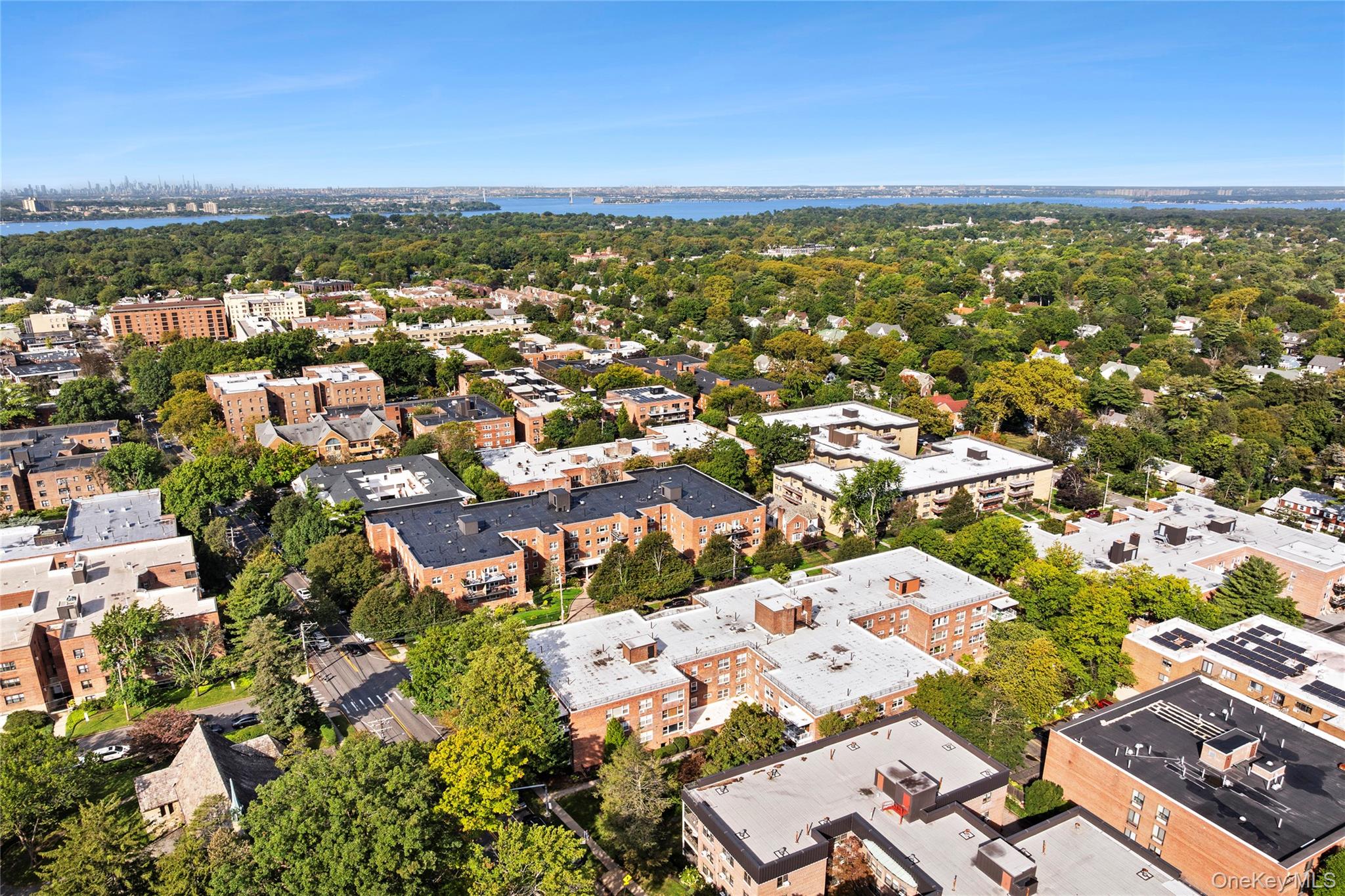 #17 photo, 21 Chapel Place, 长岛 大颈 Great Neck , NY 11021