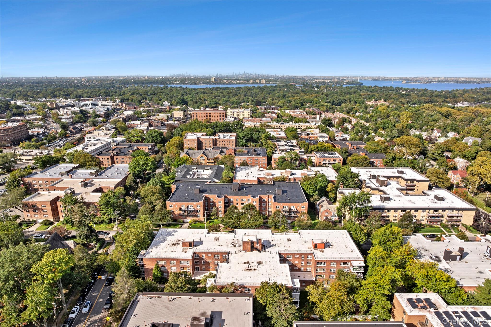 #18 photo, 21 Chapel Place, 长岛 大颈 Great Neck , NY 11021