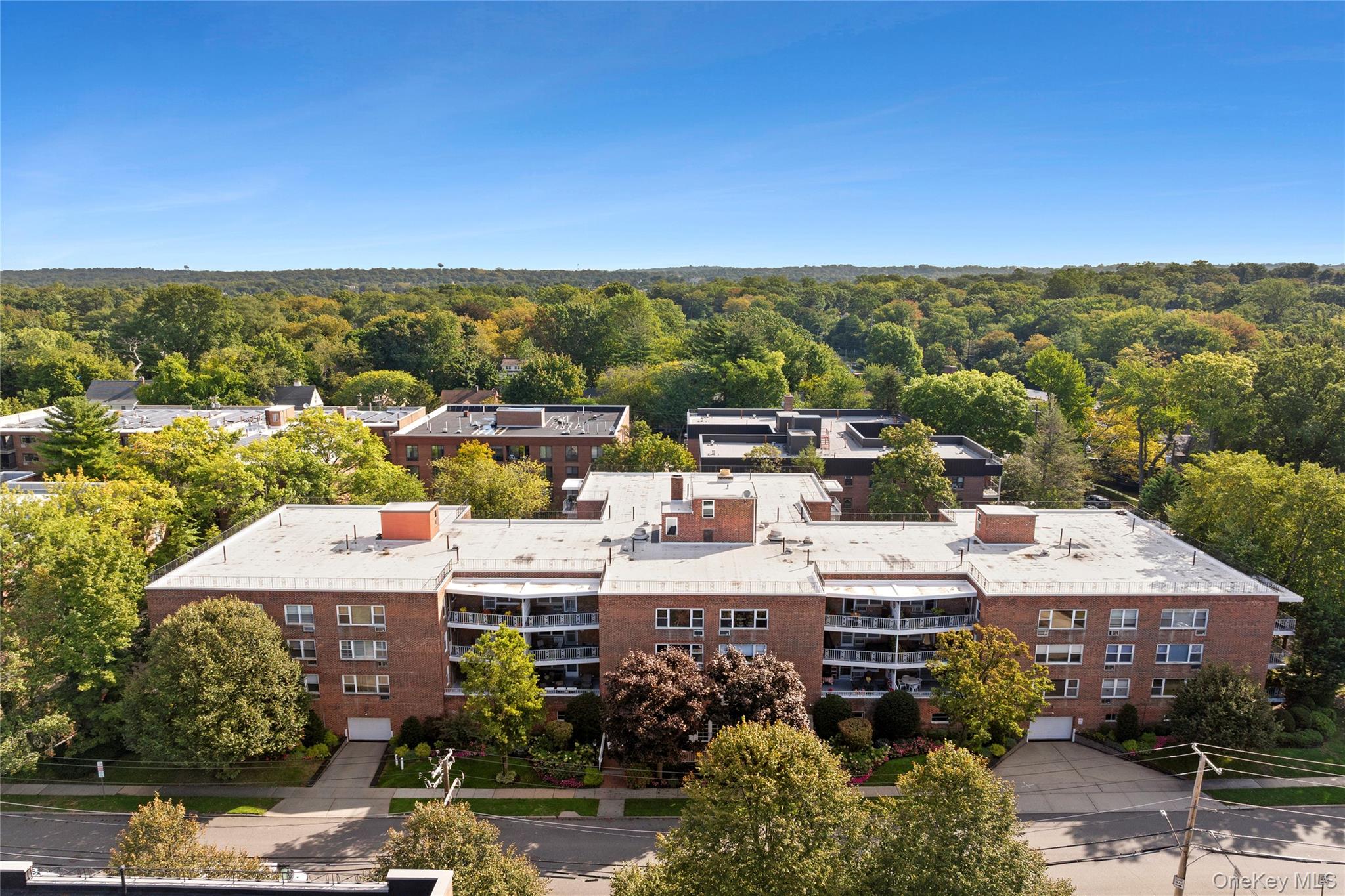 #19 photo, 21 Chapel Place, 长岛 大颈 Great Neck , NY 11021