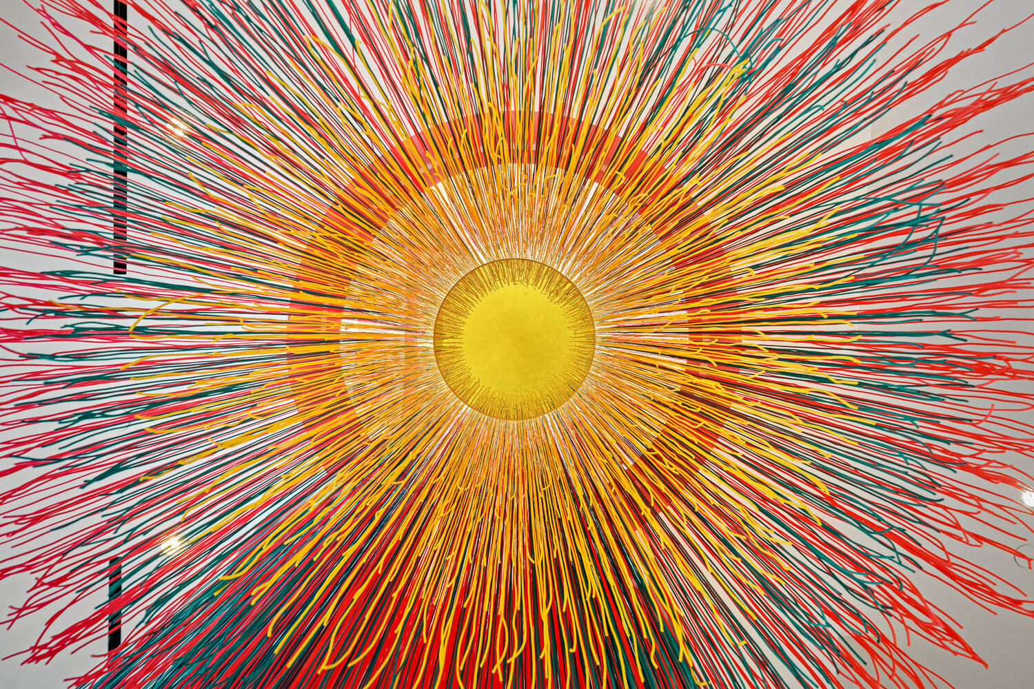 #16 photo, Brooklyn, הברונקס Bedford-Stuyvesant , NY 11205