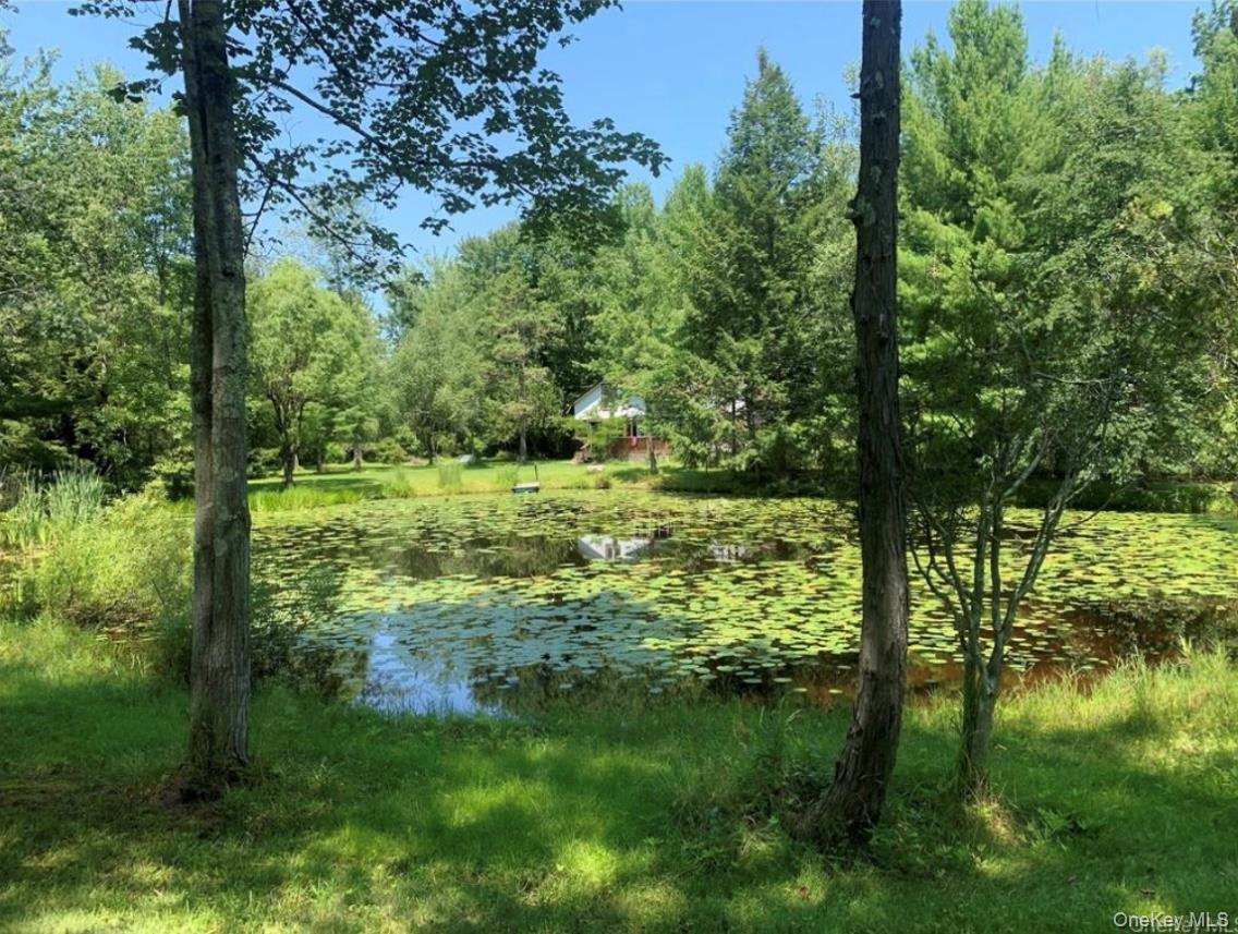 #11 photo, 792 Briggs Highway, Ellenville , NY 12428