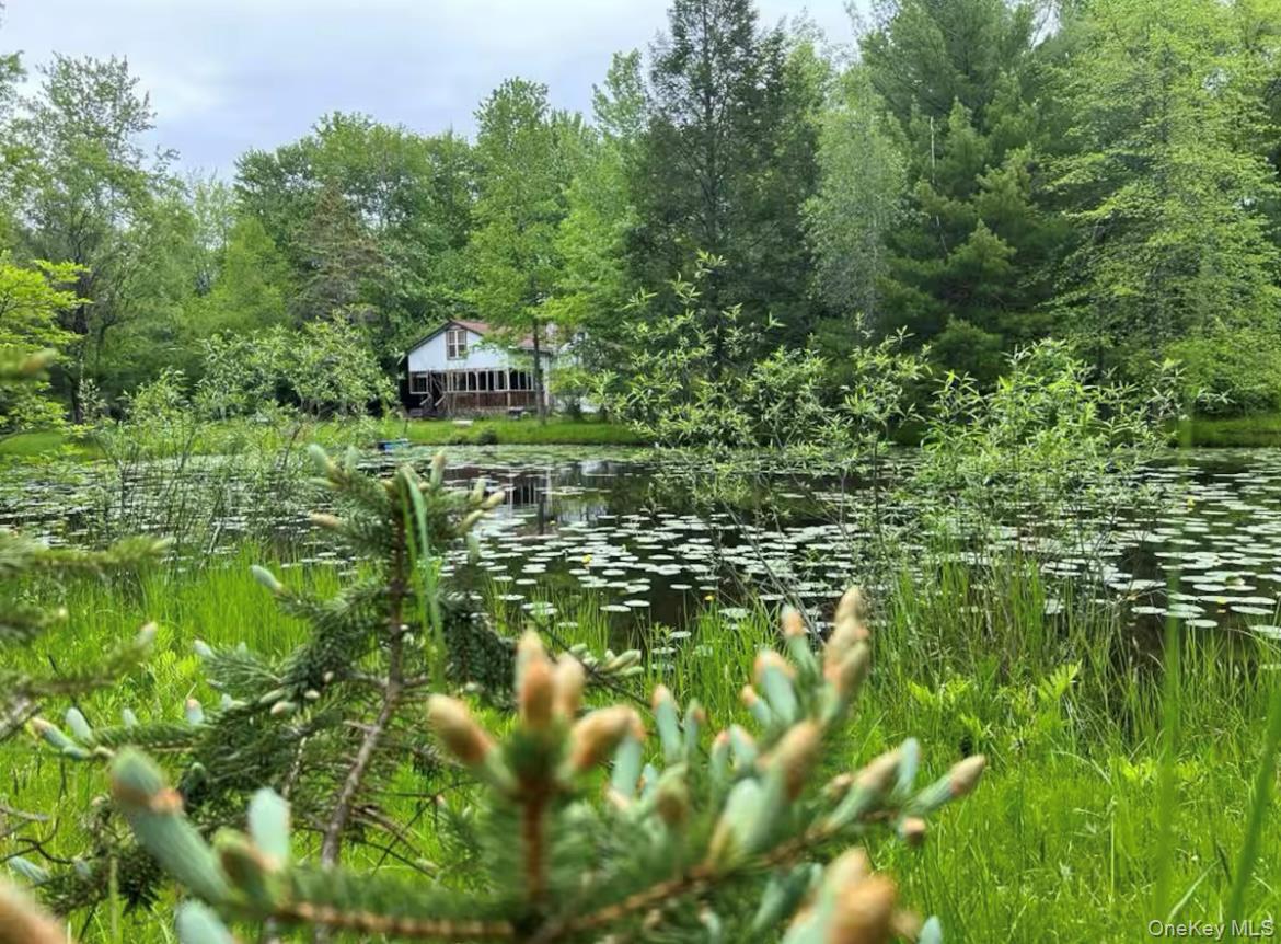 #2 photo, 792 Briggs Highway, Ellenville , NY 12428