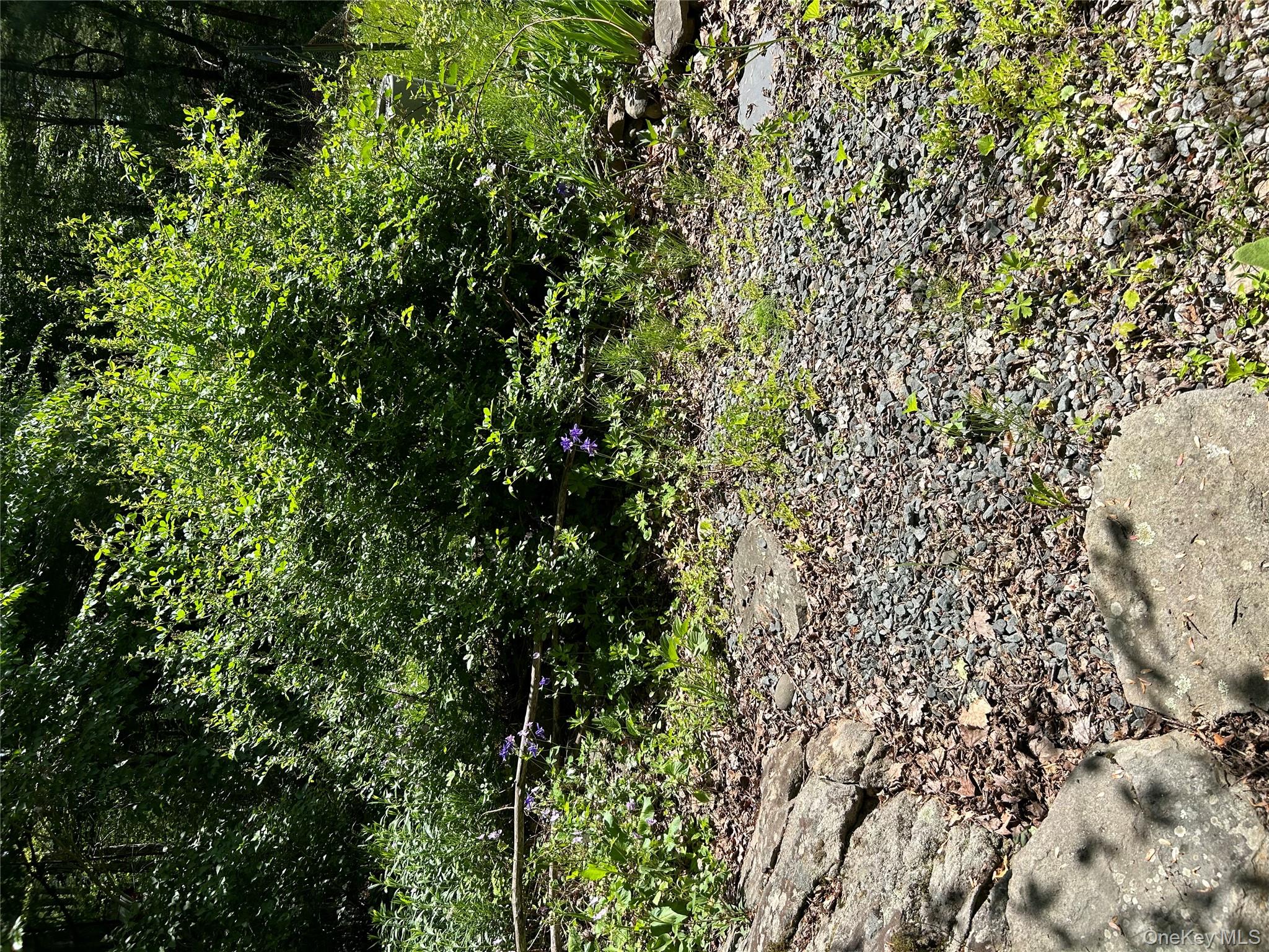 #5 photo, 792 Briggs Highway, Ellenville , NY 12428