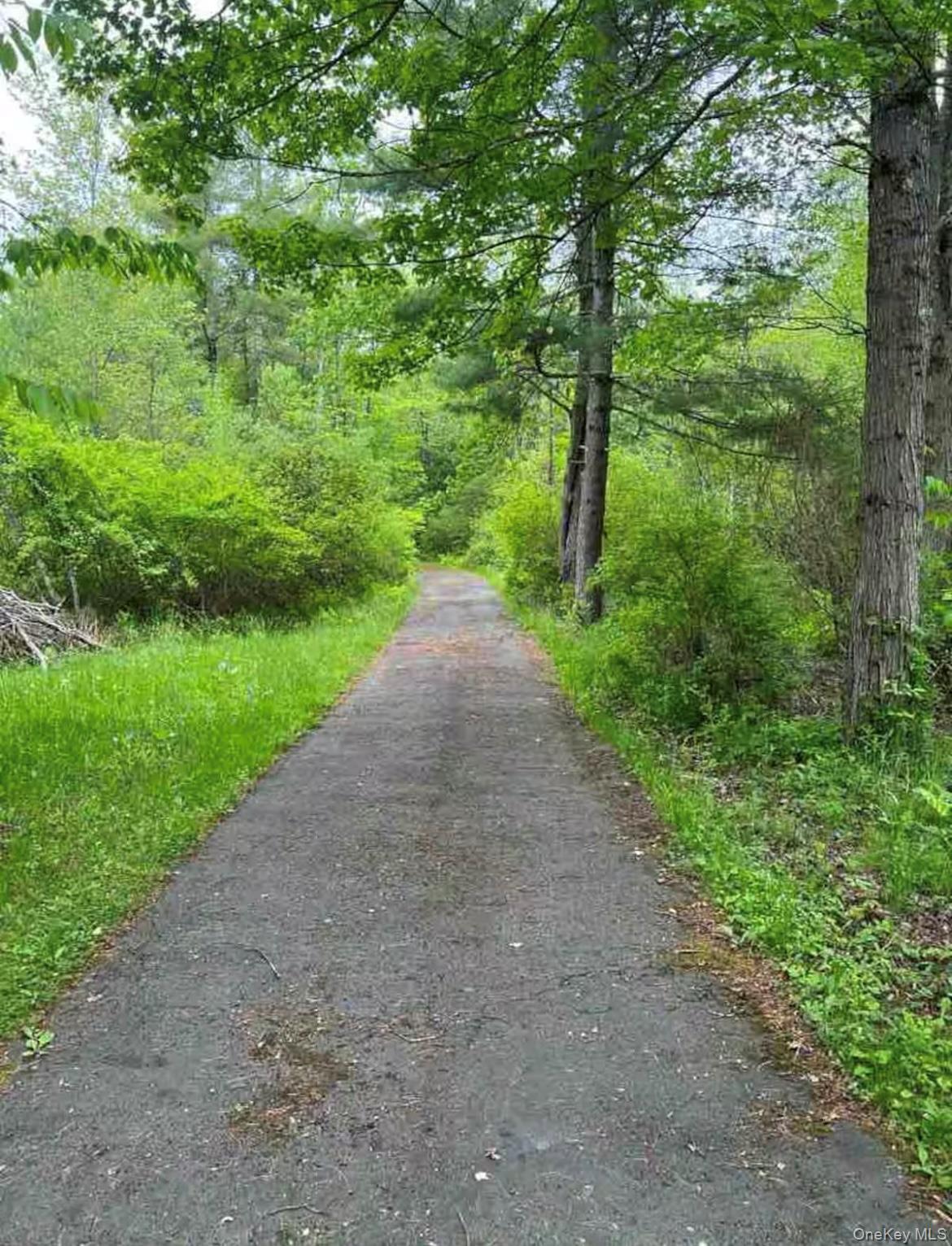 #6 photo, 792 Briggs Highway, Ellenville , NY 12428