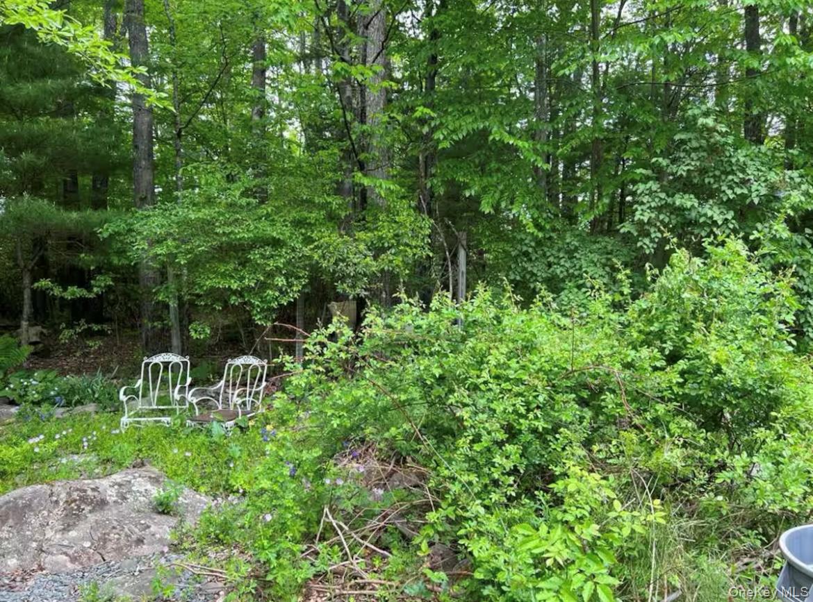 #7 photo, 792 Briggs Highway, Ellenville , NY 12428