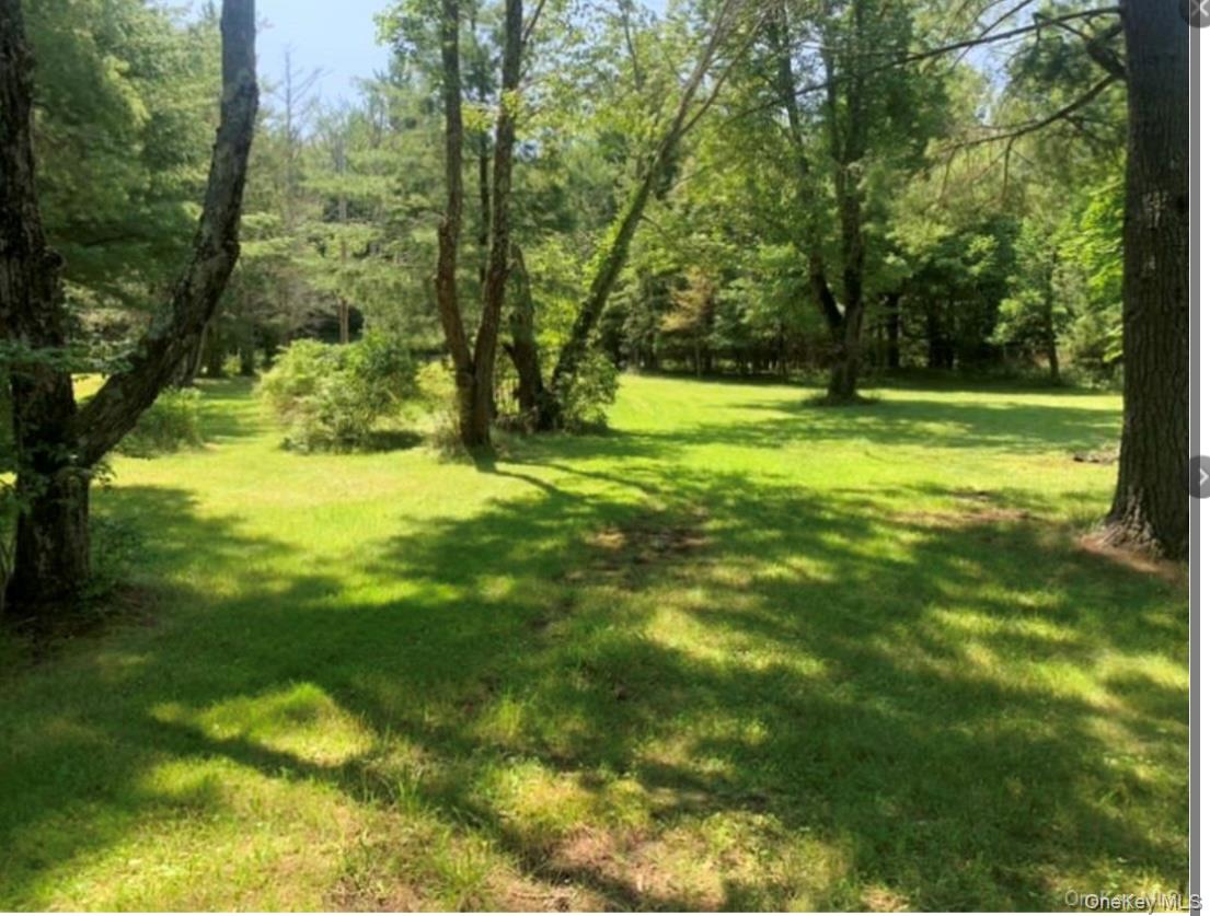 #8 photo, 792 Briggs Highway, Ellenville , NY 12428