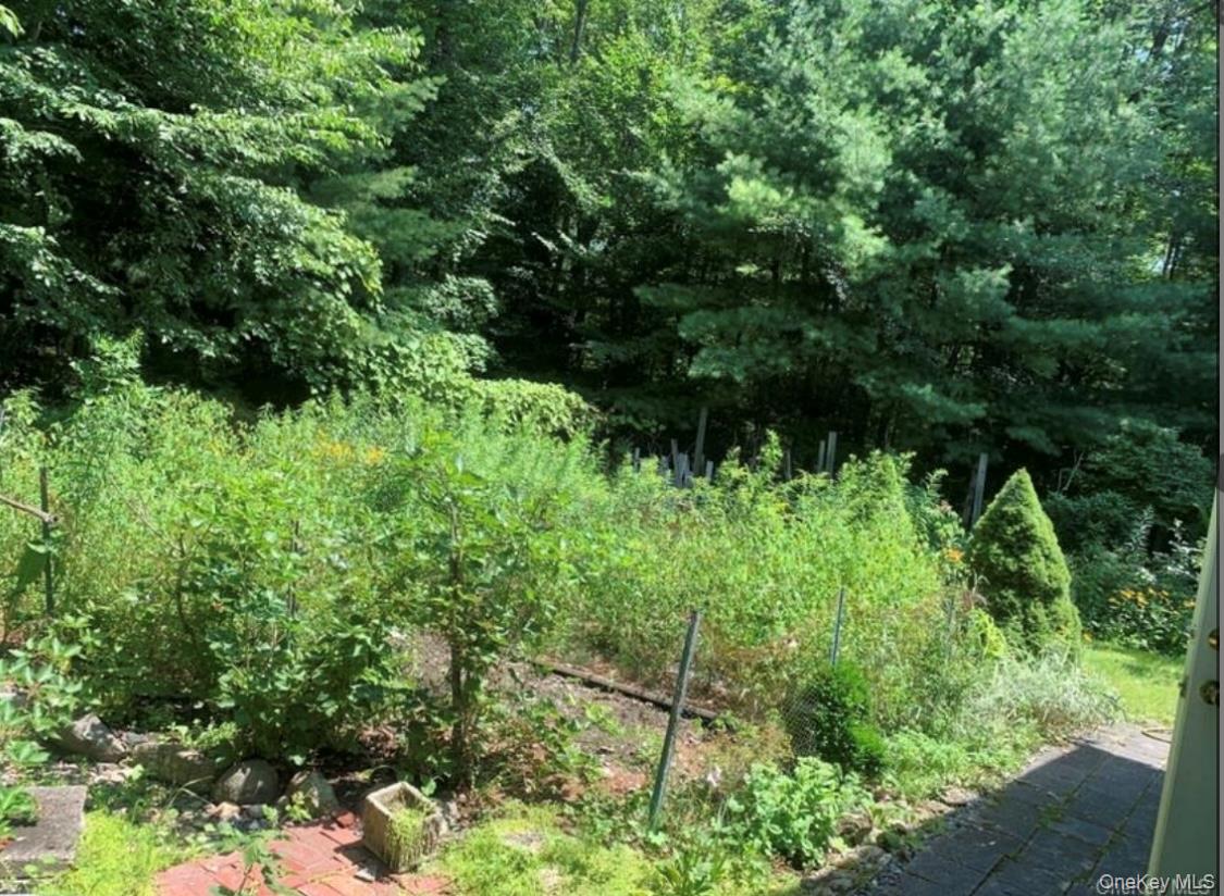 #9 photo, 792 Briggs Highway, Ellenville , NY 12428