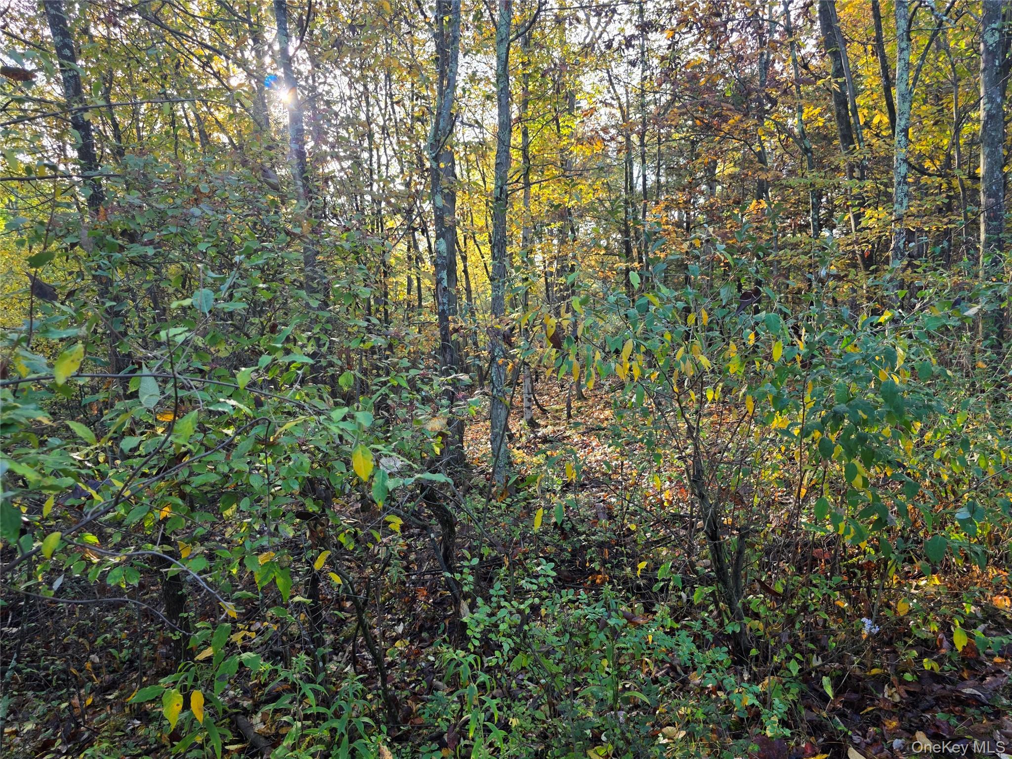 #10 photo, 6 Durham Woods Road, Durham , NY 12422