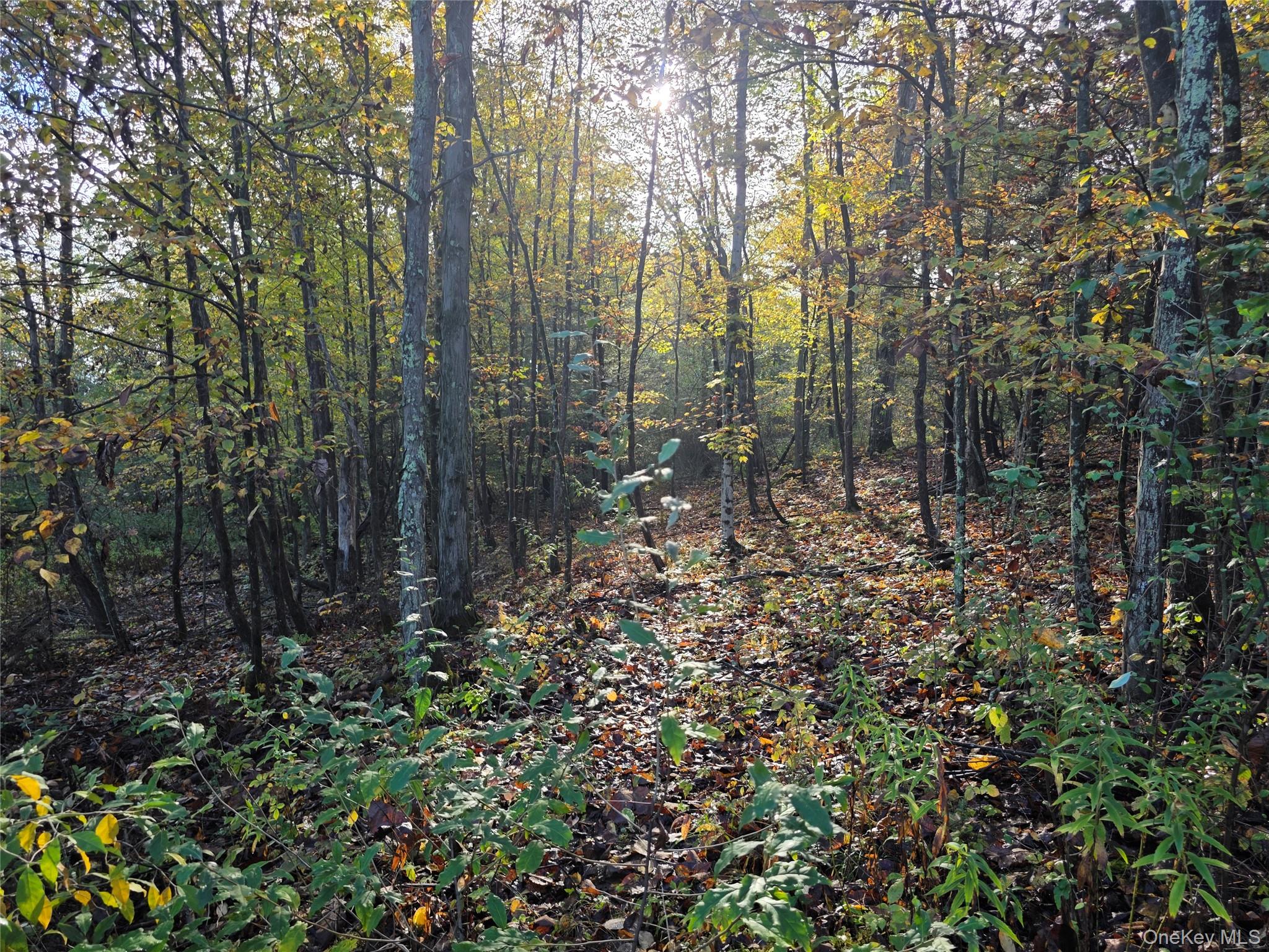 #11 photo, 6 Durham Woods Road, Durham , NY 12422