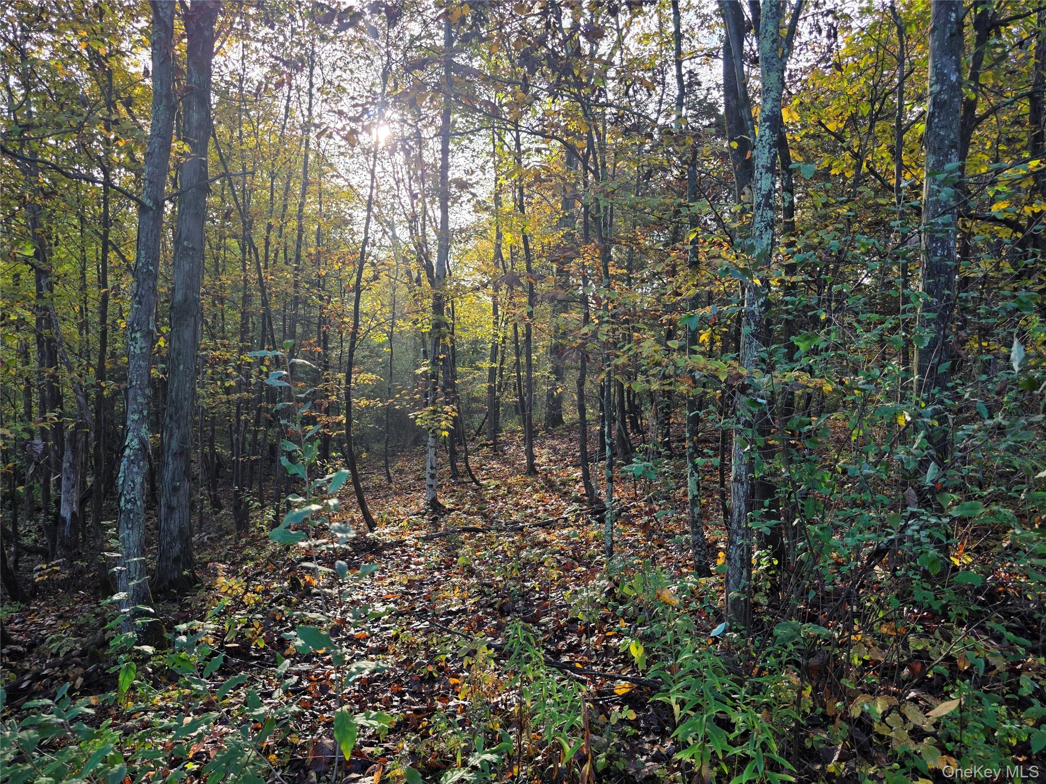 #12 photo, 6 Durham Woods Road, Durham , NY 12422