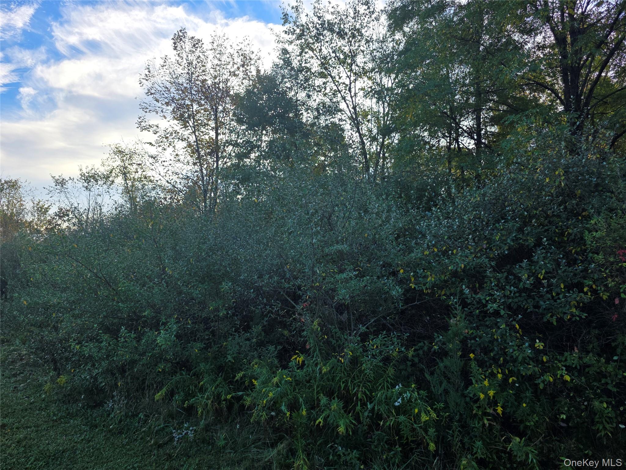 #4 photo, 6 Durham Woods Road, Durham , NY 12422