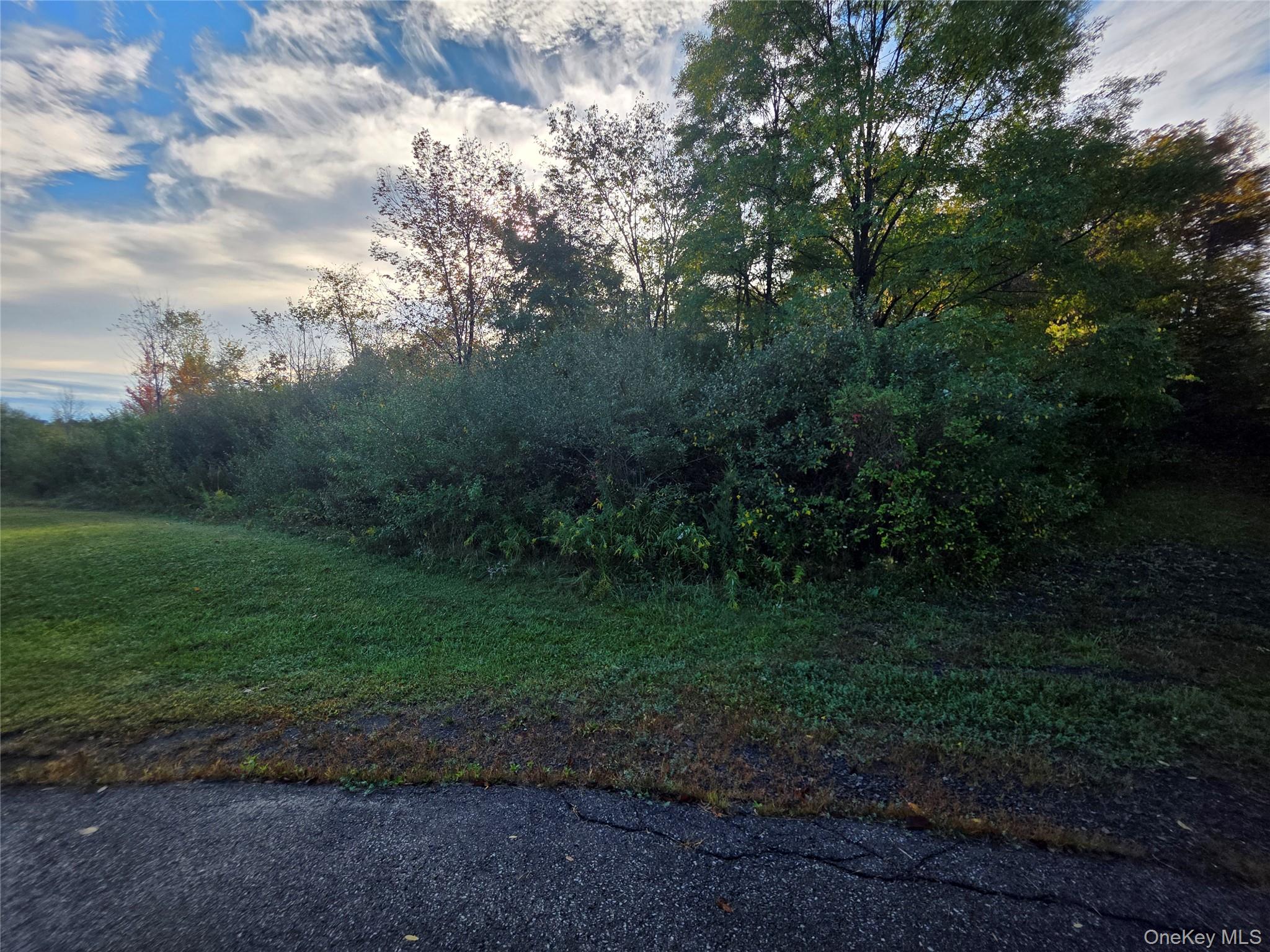 #5 photo, 6 Durham Woods Road, Durham , NY 12422