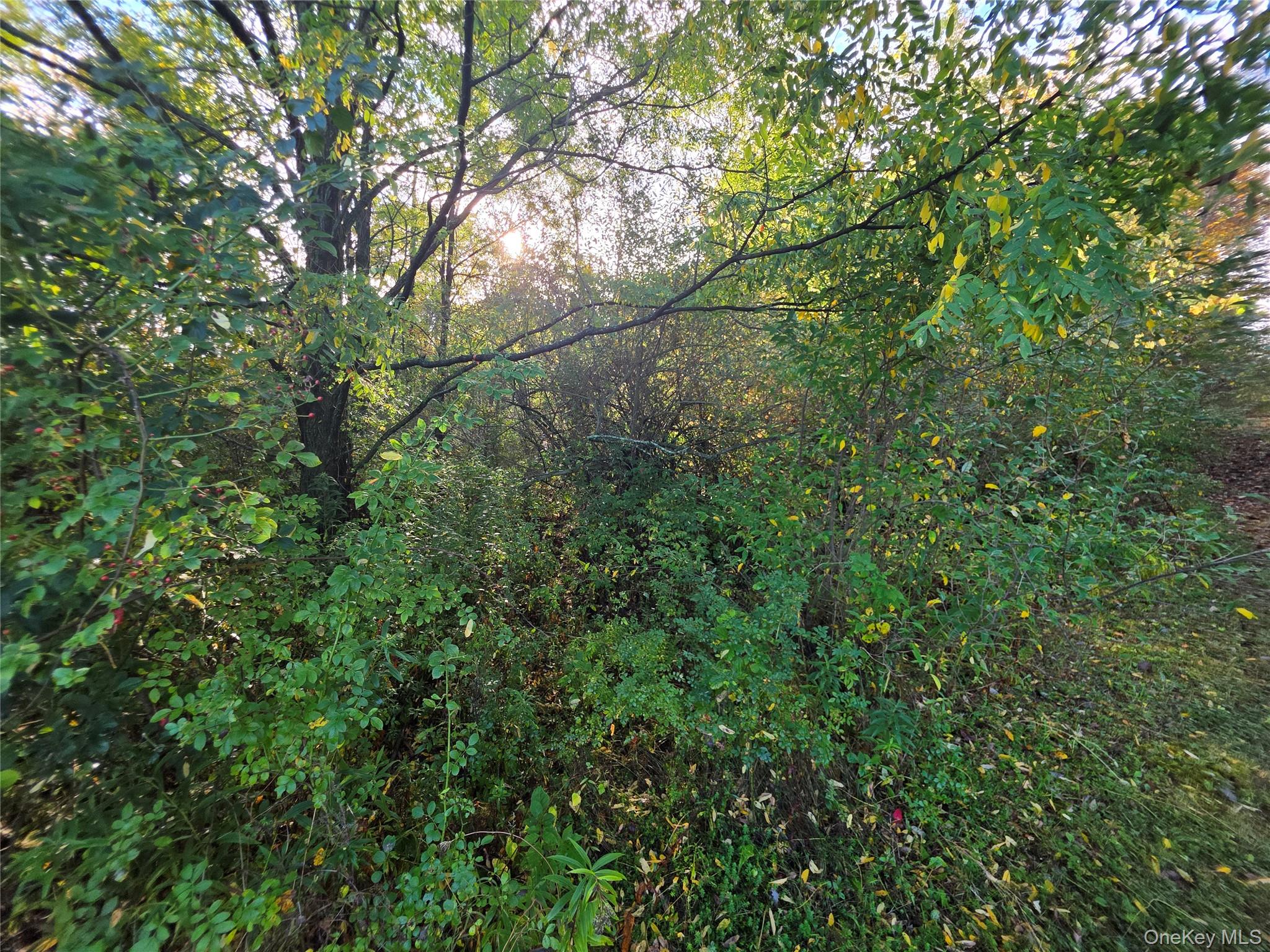 #6 photo, 6 Durham Woods Road, Durham , NY 12422