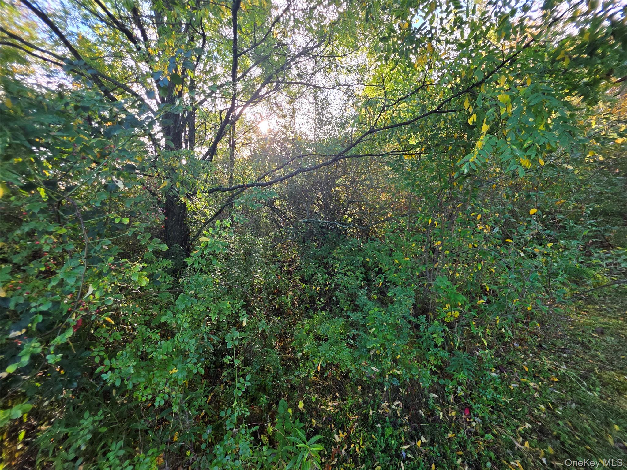 #7 photo, 6 Durham Woods Road, Durham , NY 12422