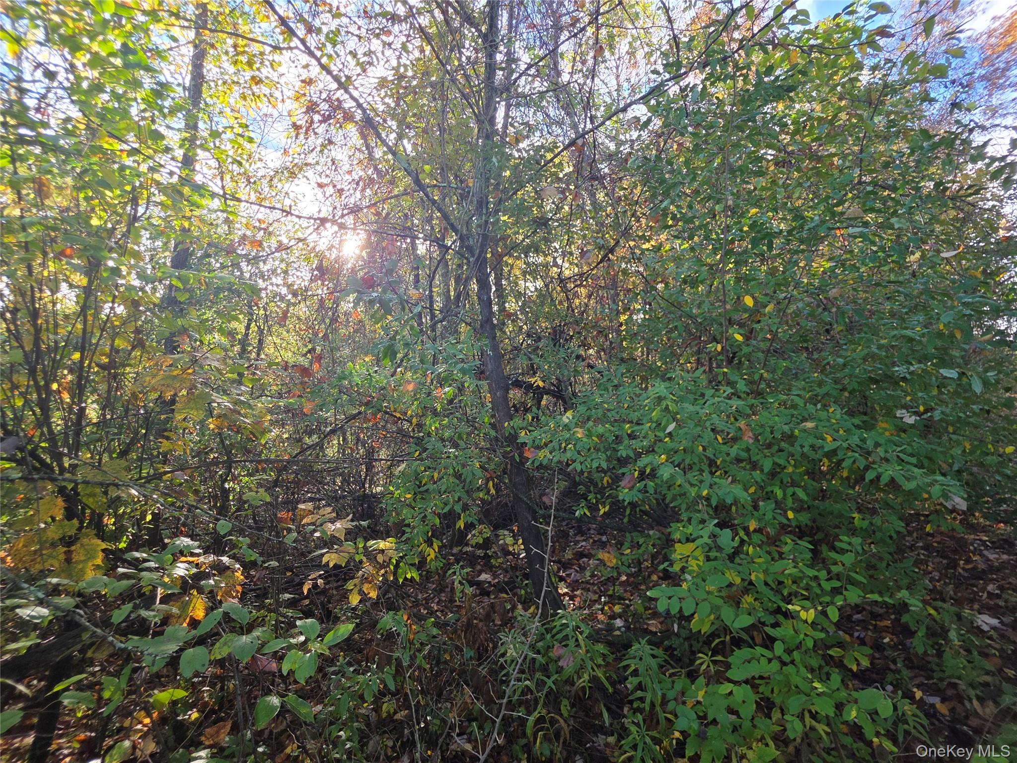 #8 photo, 6 Durham Woods Road, Durham , NY 12422