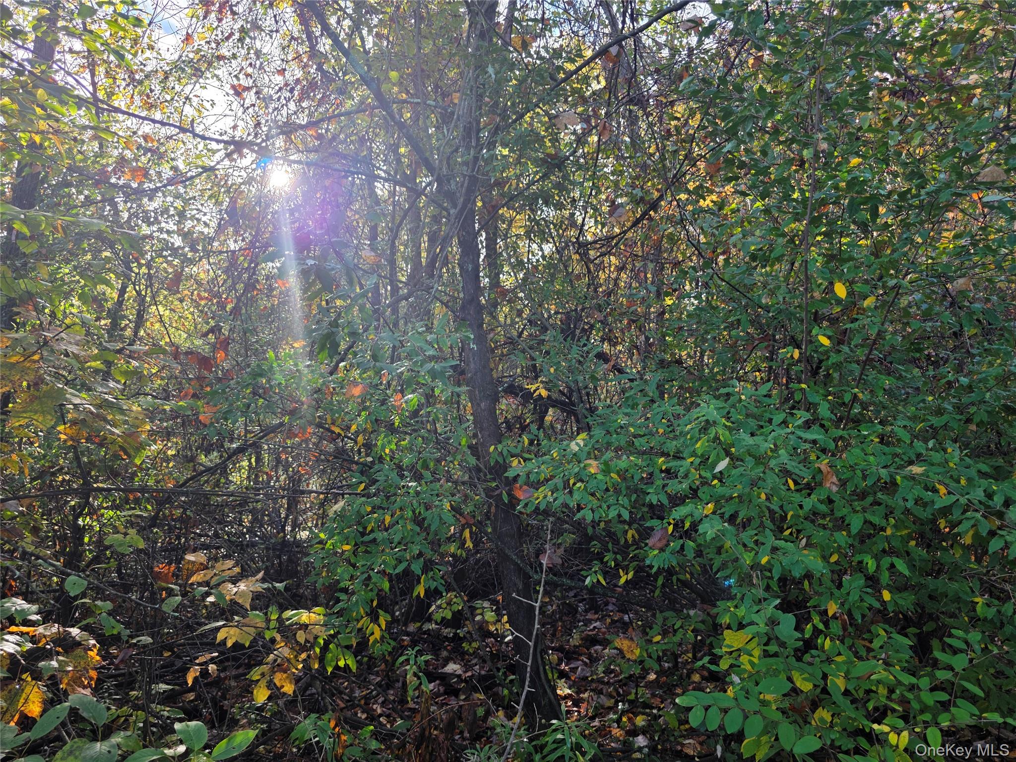 #9 photo, 6 Durham Woods Road, Durham , NY 12422