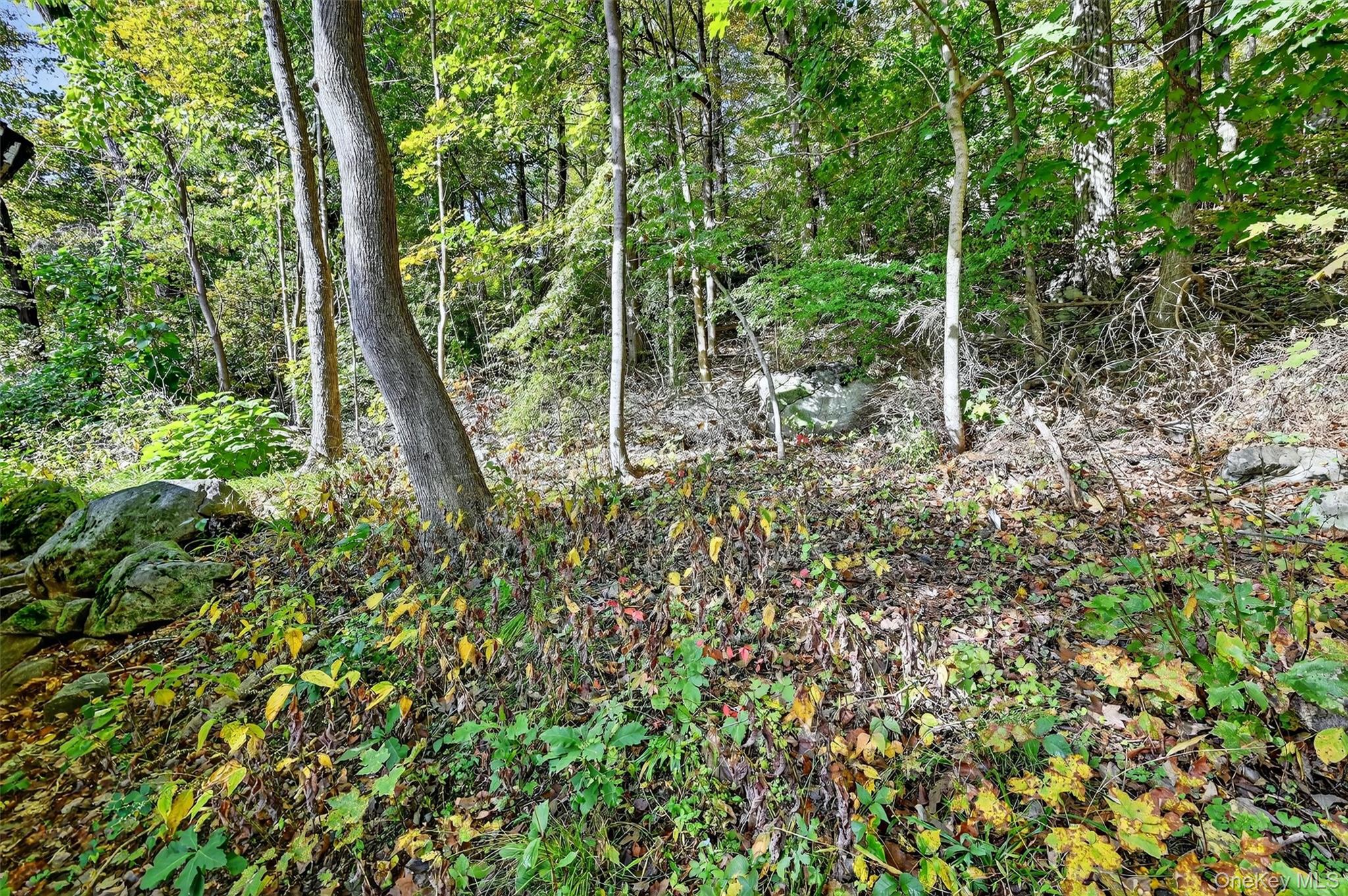 #7 photo, 27 Richard Street, Sloatsburg , NY 10974