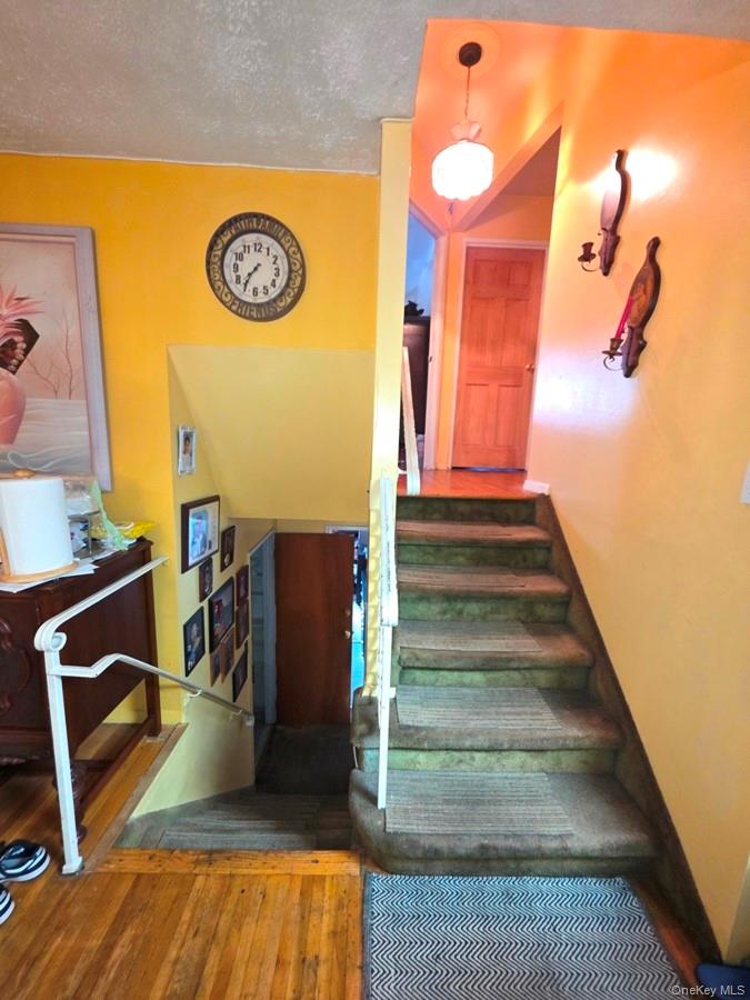 #9 photo, 9505 Schenck Street, ブルックリン区 Brooklyn , NY 11236