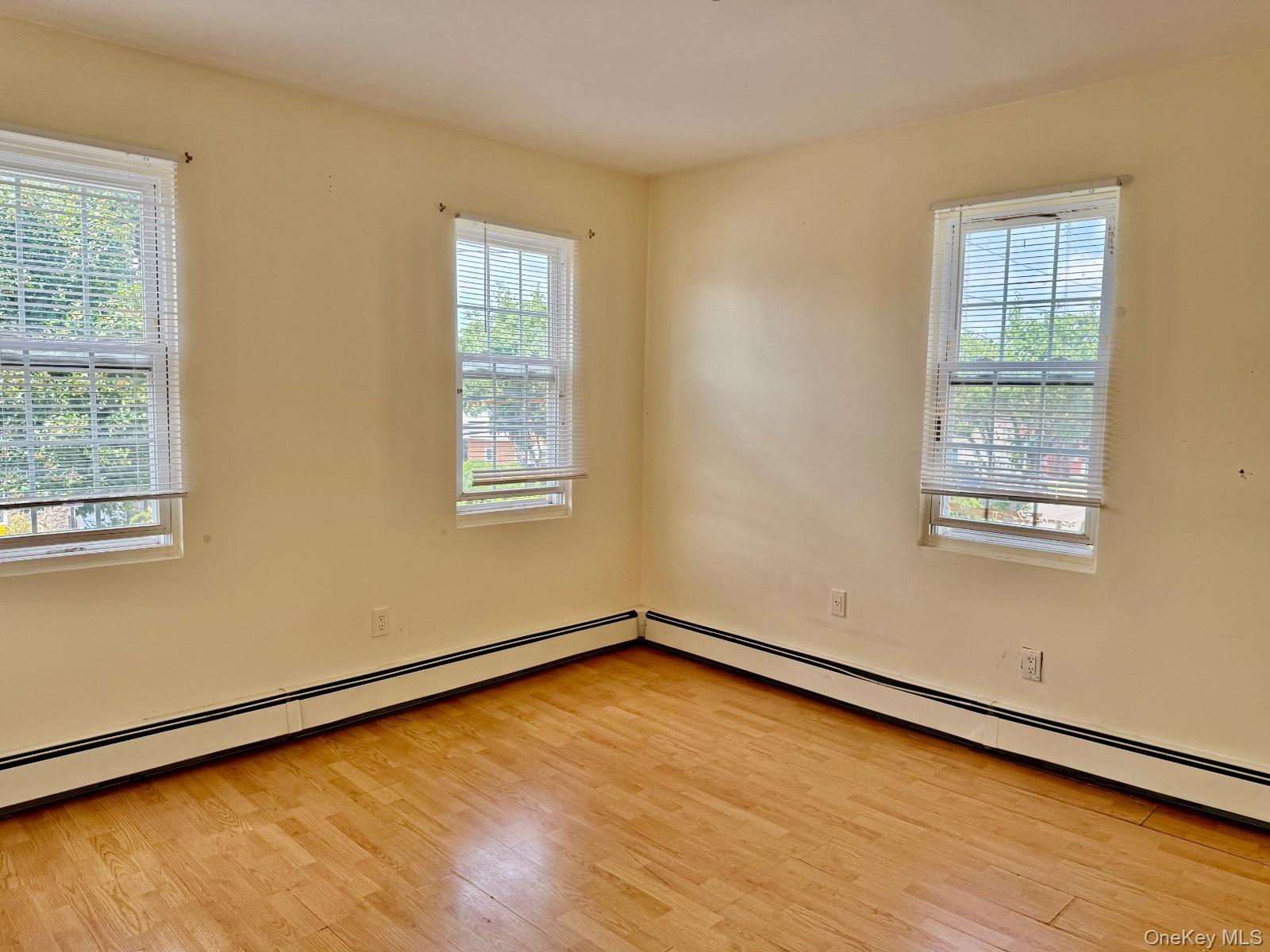 #11 photo, 223 Jackson Avenue, Mineola , NY 11501