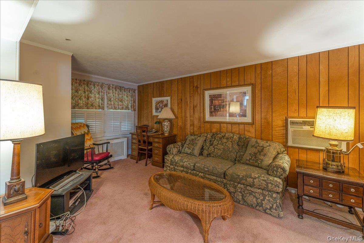 #8 photo, 246 Wellington Road, Mineola , NY 11501