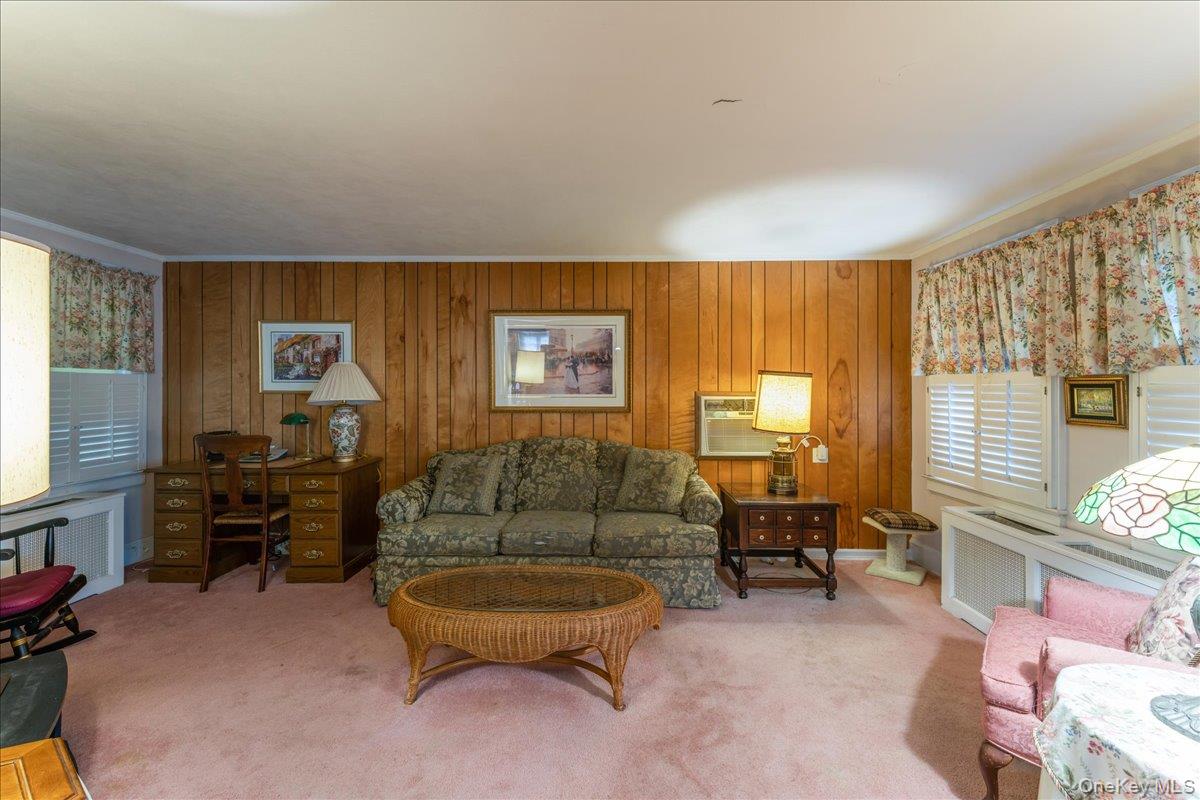 #9 photo, 246 Wellington Road, Mineola , NY 11501