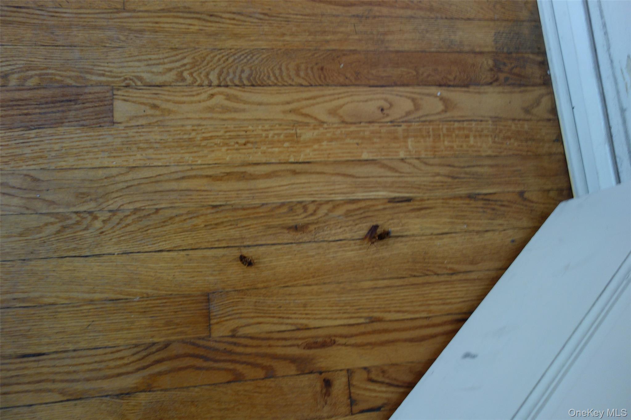 #4 photo, 9238 Queens Boulevard, Rego Park , NY 11374